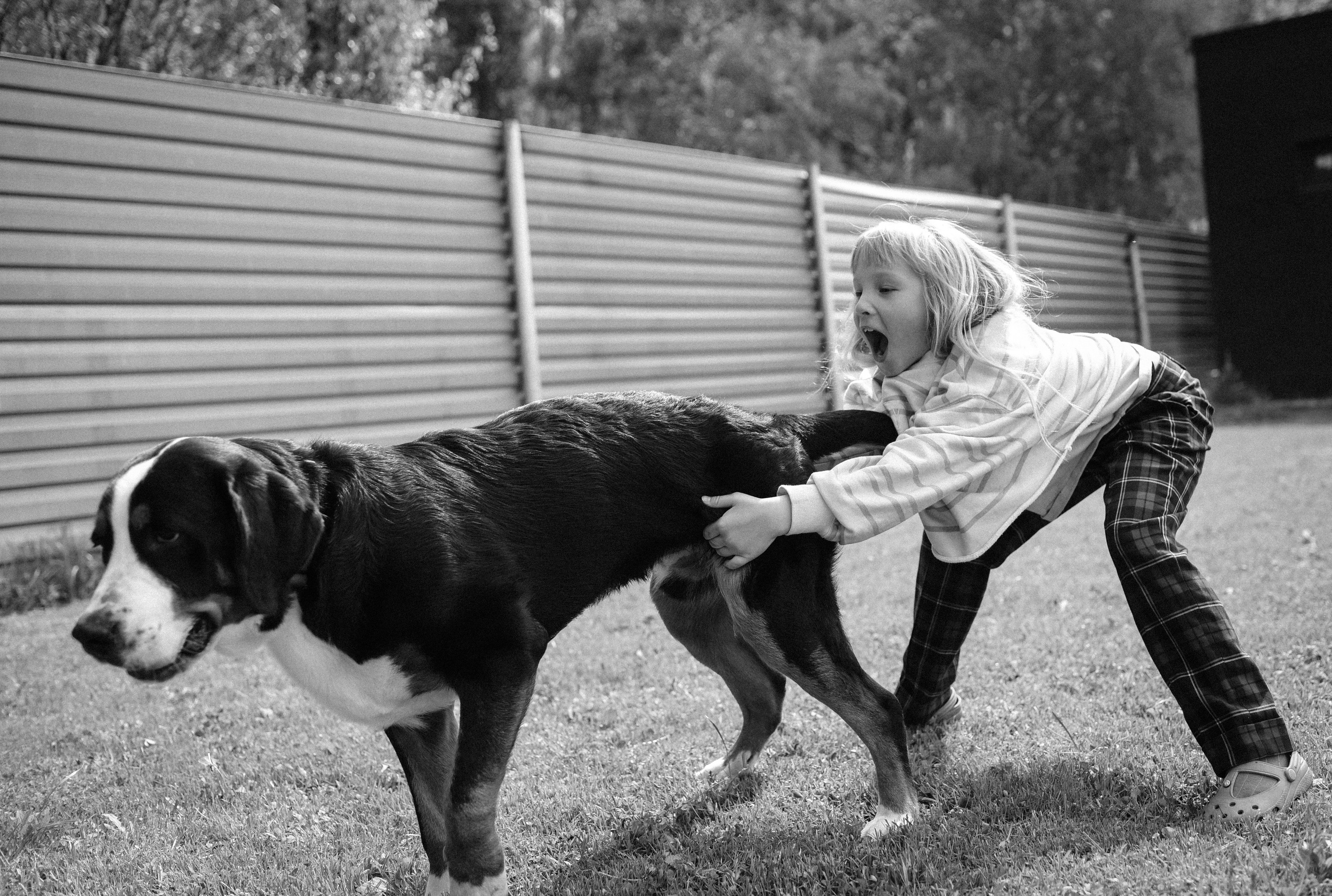 Многодетство. Детский и семейный фотограф в Новосибирске Саша Дорошенко