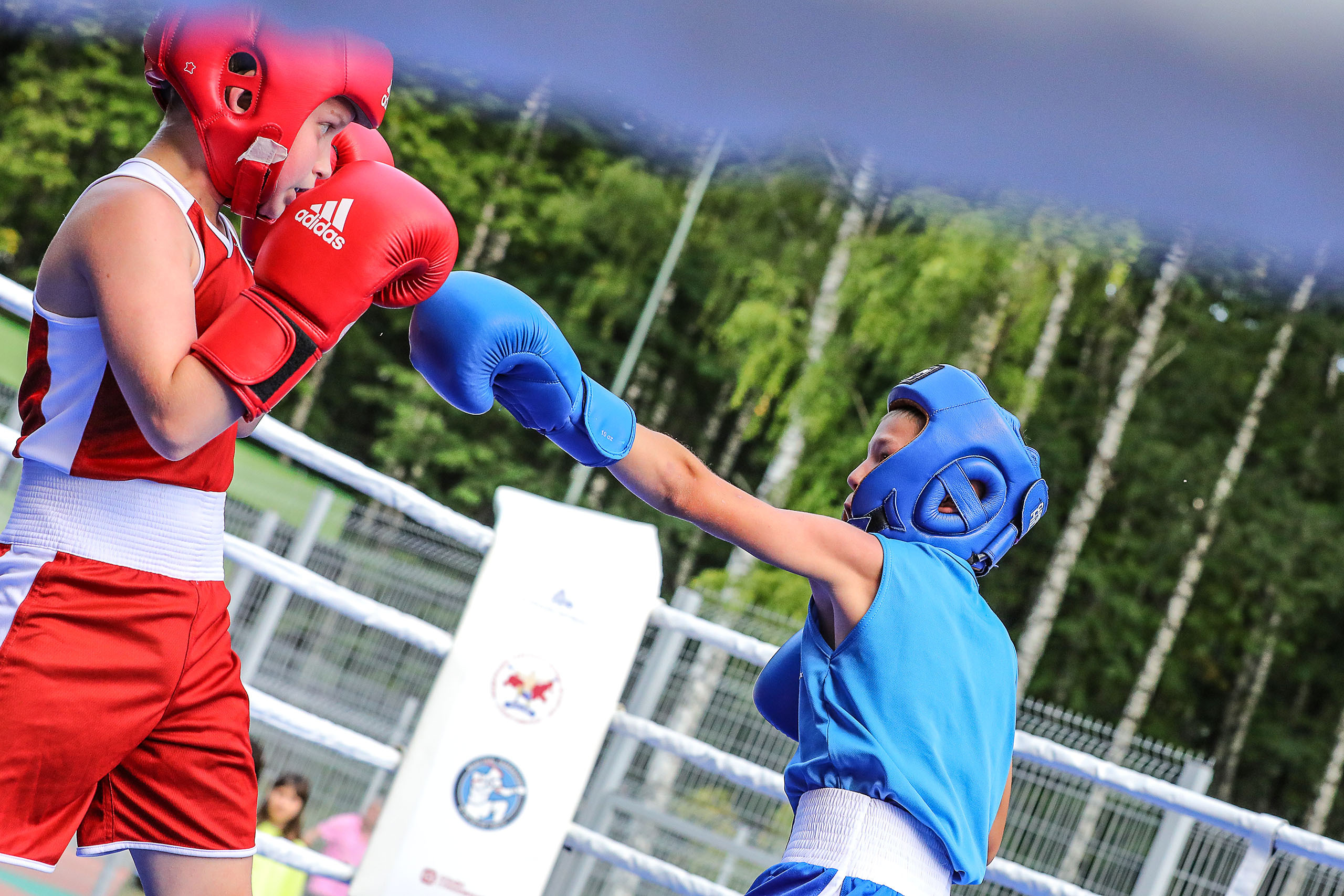 БОКС. Reportage photographer in Nizhny Novgorod and Moscow angelina Ilyichev