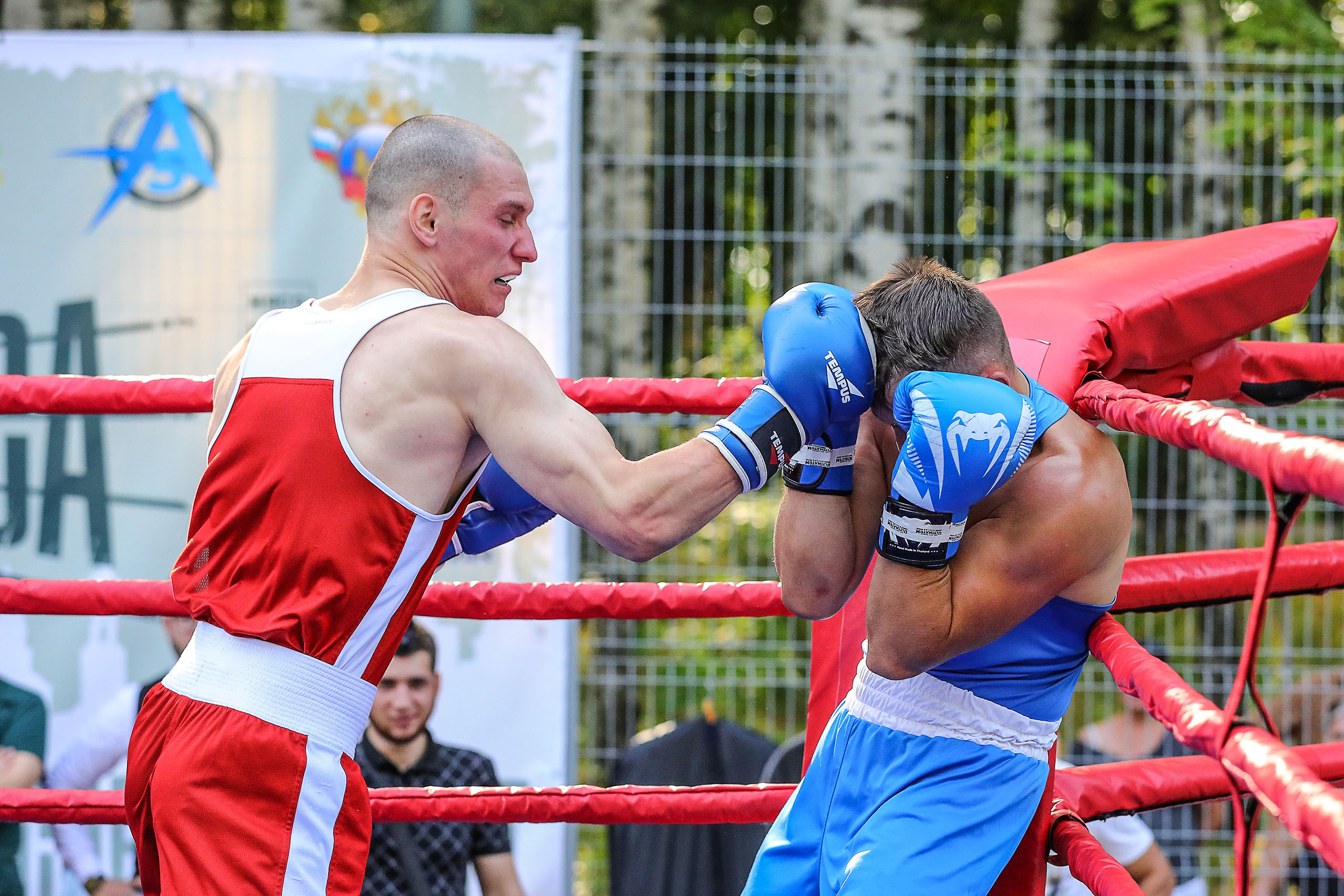 БОКС. Reportage photographer in Nizhny Novgorod and Moscow angelina Ilyichev