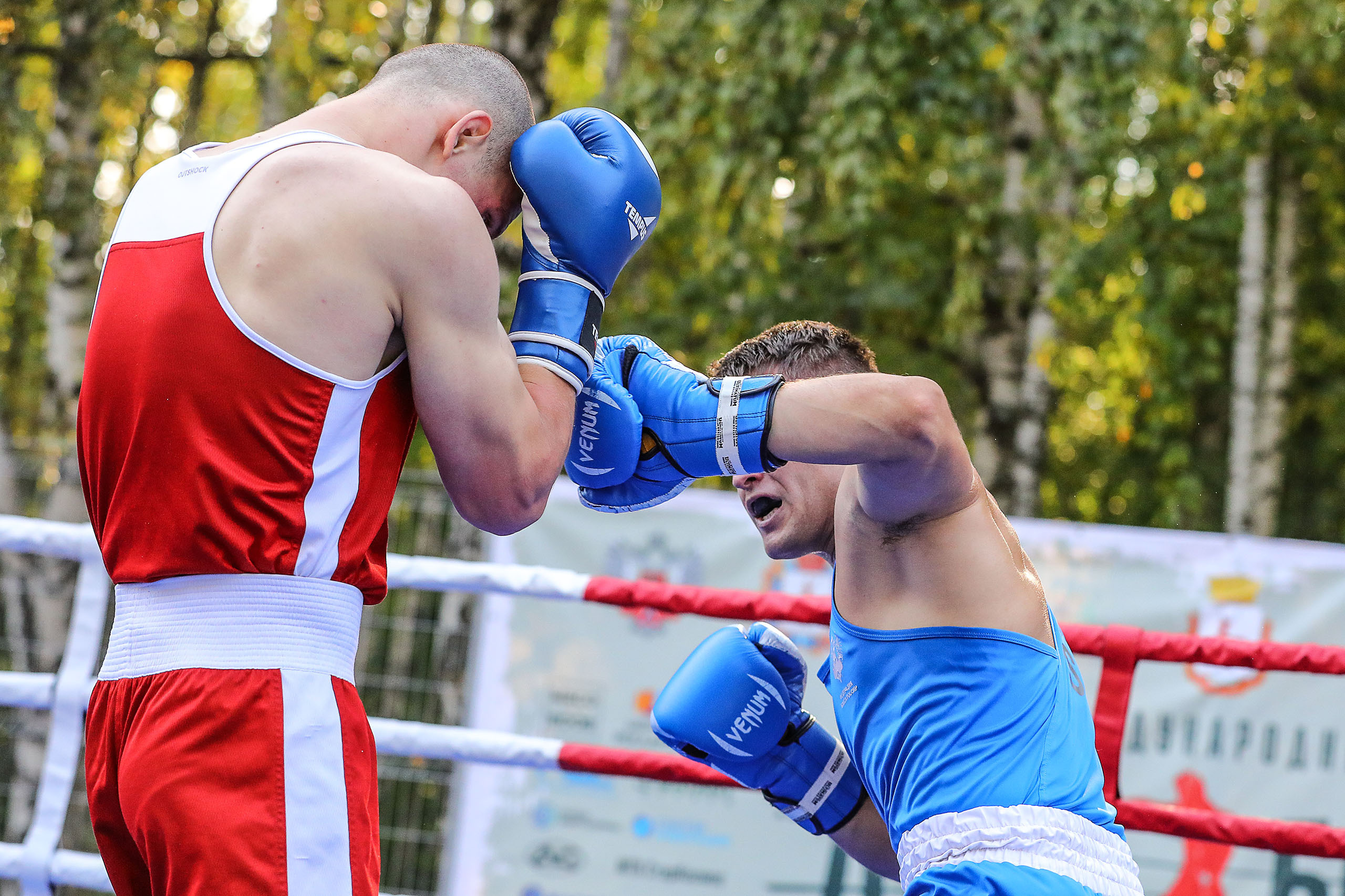 БОКС. Reportage photographer in Nizhny Novgorod and Moscow angelina Ilyichev