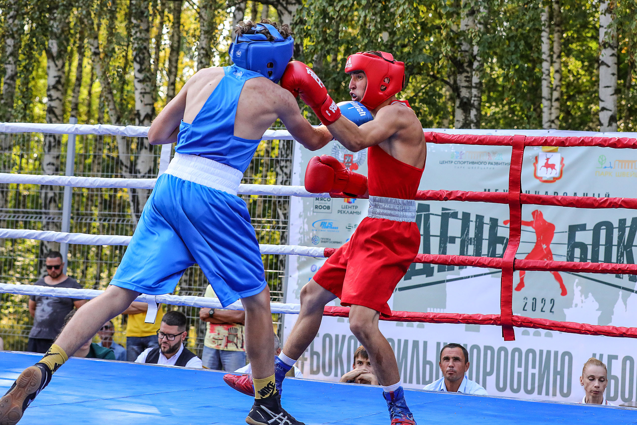 БОКС. Reportage photographer in Nizhny Novgorod and Moscow angelina Ilyichev