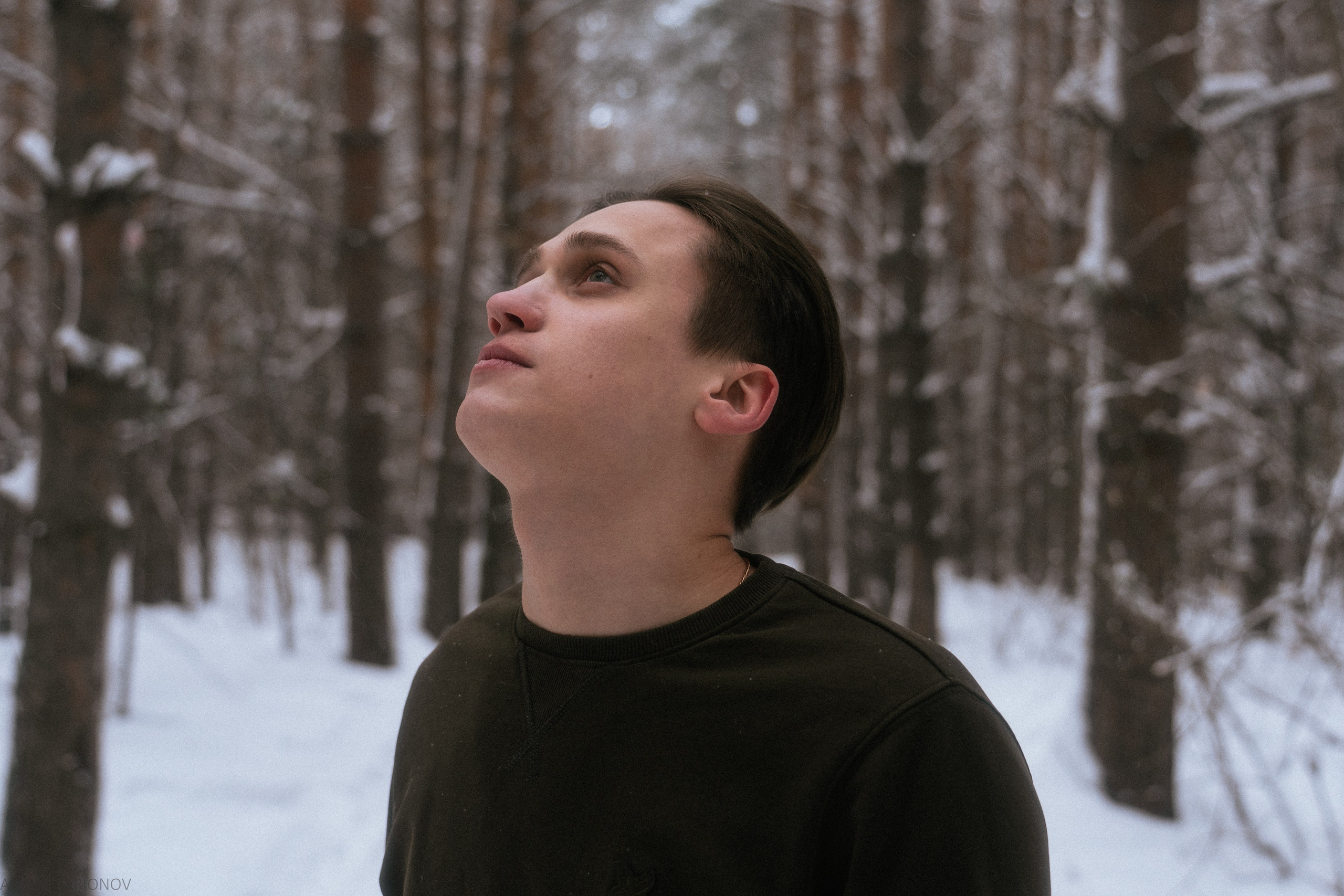 Снежный лес. Фотограф Артем Ларионов