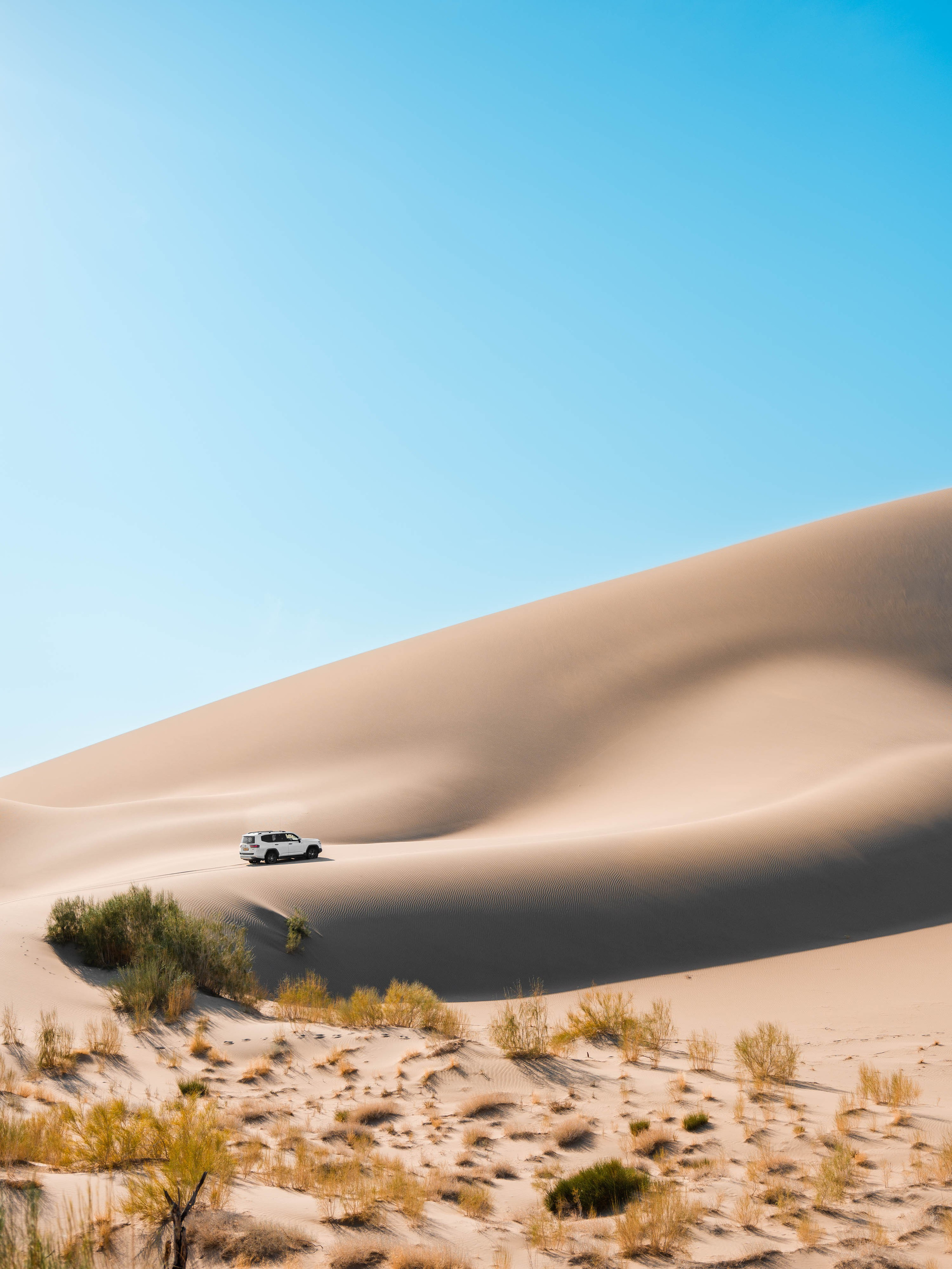 Экспедиция NatGeo X Toyota. Свадебный и Студийный фотограф из Казахстана Артем Орлянский