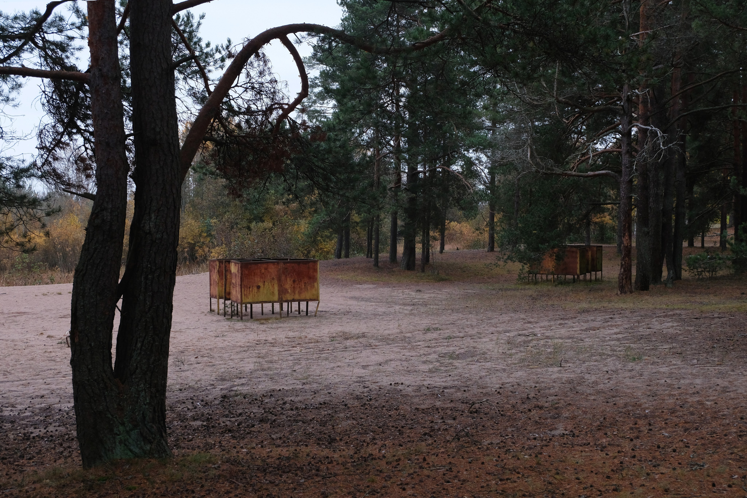 Пионерлагеря. Курочкина Софья