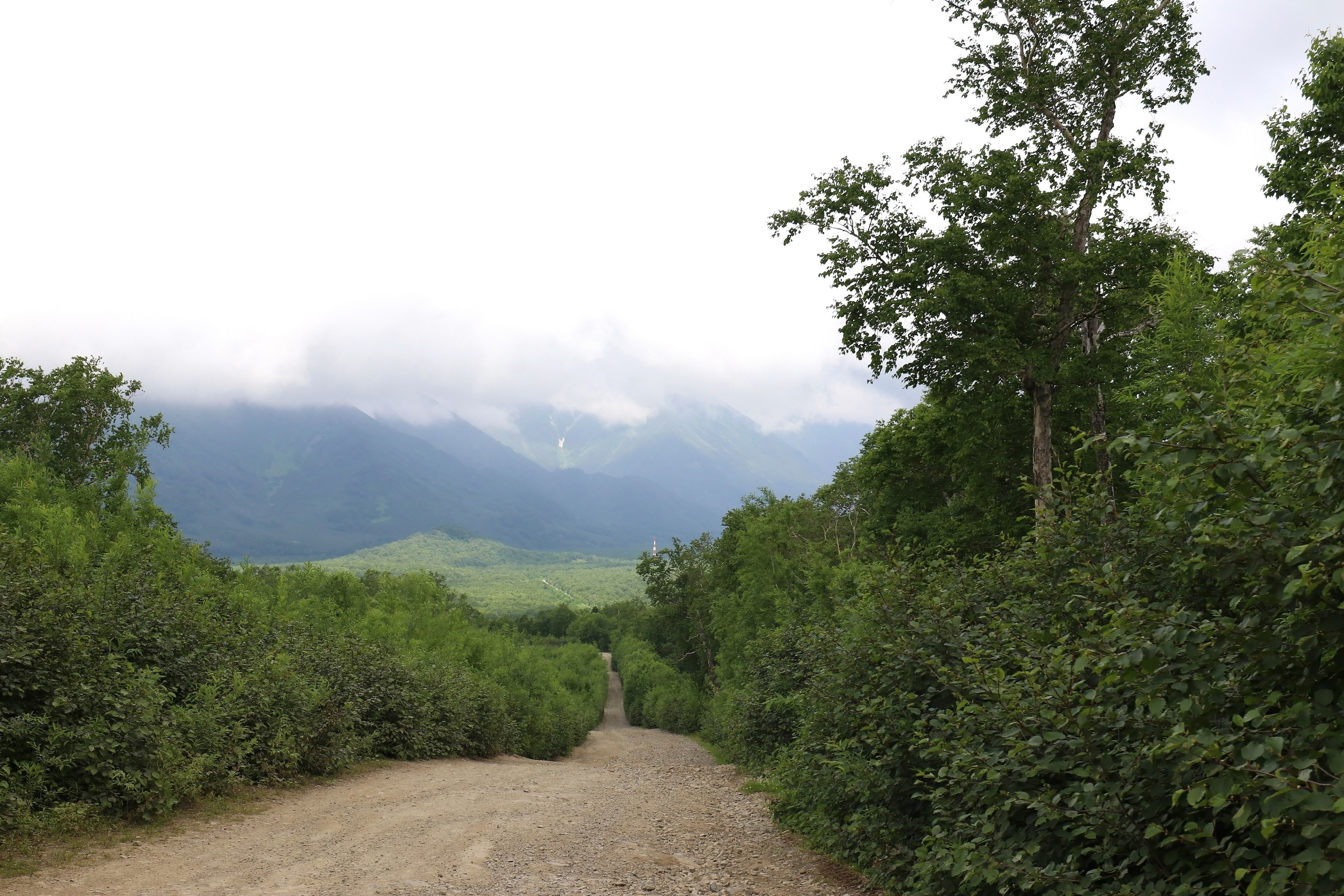 Камчатка и о. Парамушир. Июль 2024. Путешественник-фотограф из Санкт-Петербурга Татьяна Свистулина