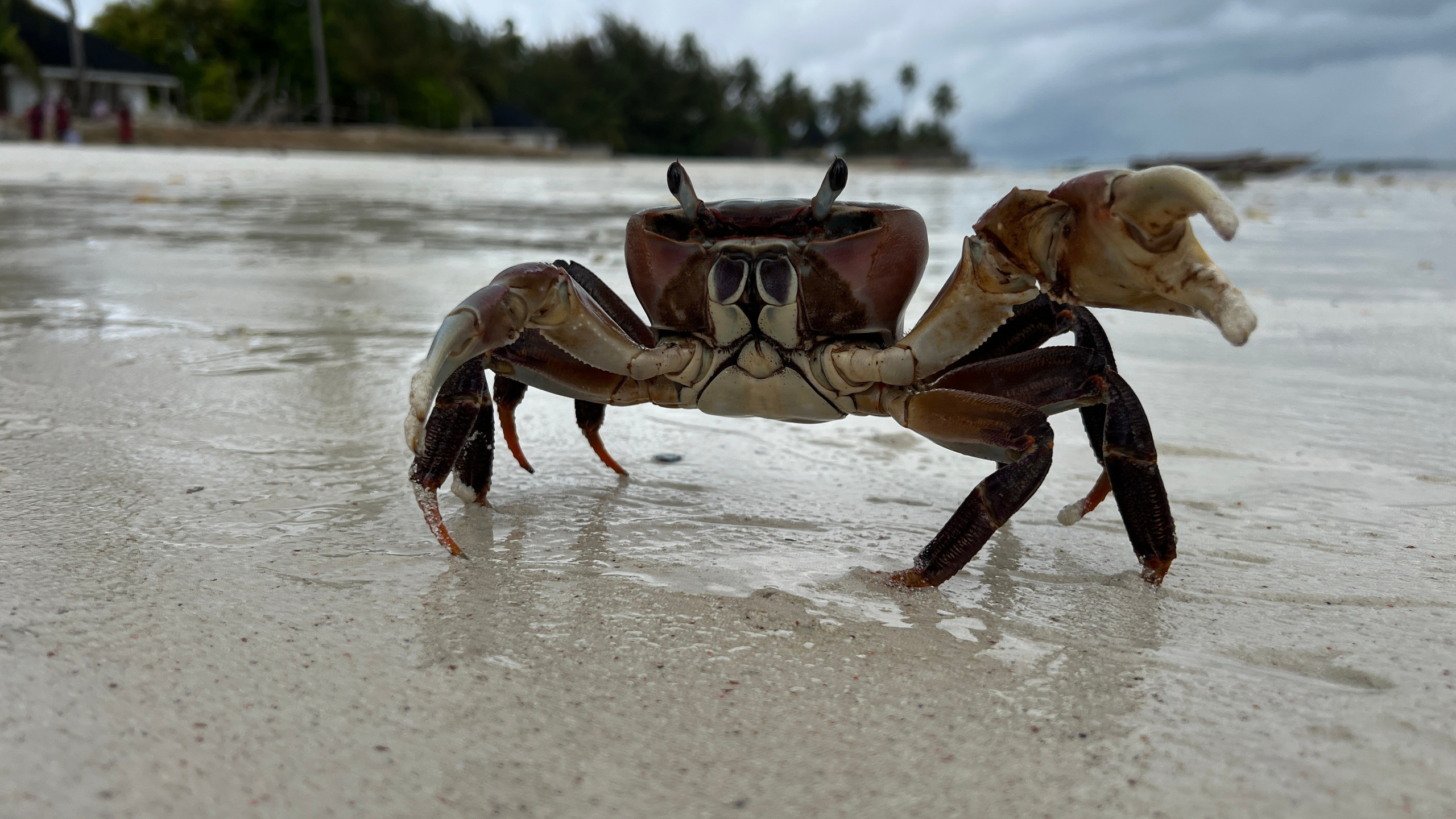 Танзания. Телеоператор Ильнур Таминдаров — видеосъемка, документальные фильмы, интервью в Москве
