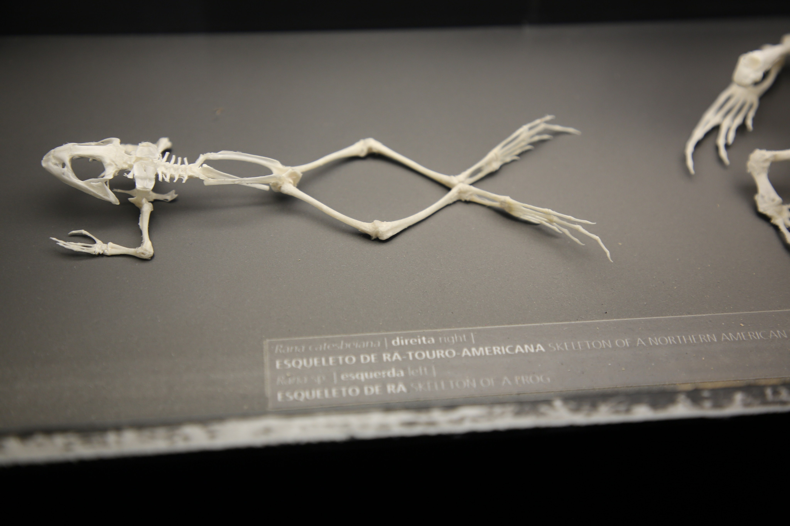 Lisbon, Portugal. Andrey Filippov Photographer