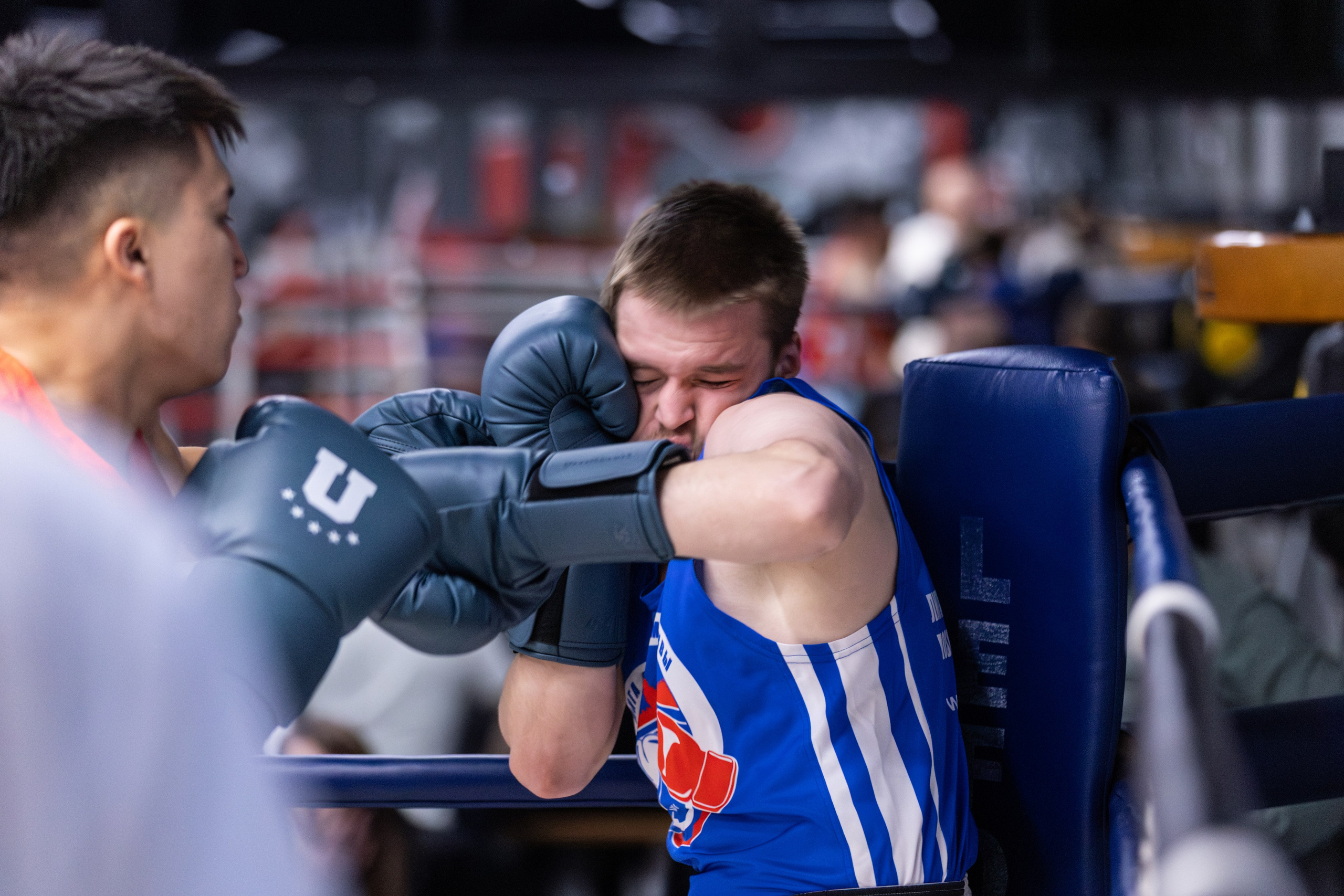 Спортивная фотография бокс. Фотограф в Москве портреты | репортажи | спорт