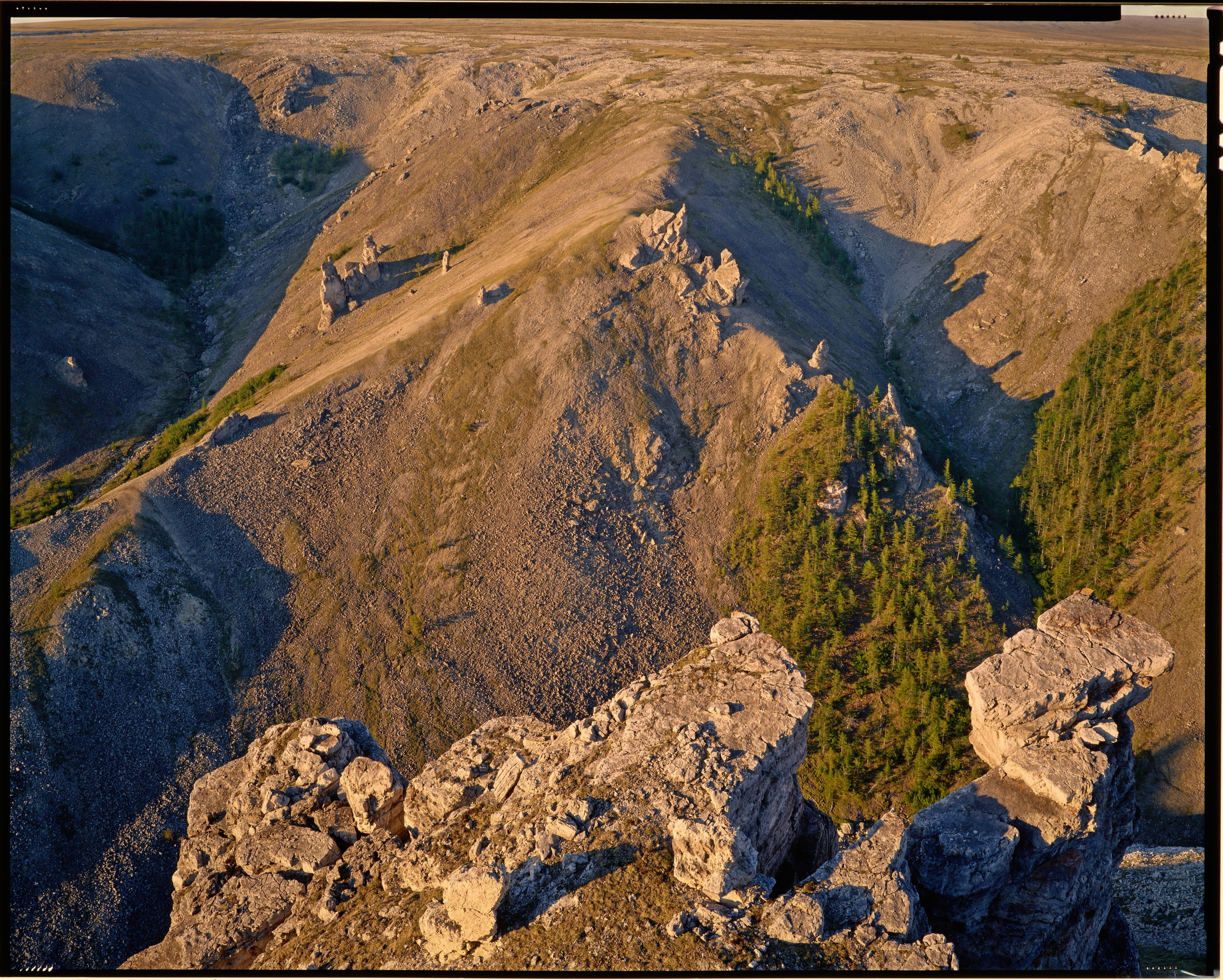 Полевая фотосъёмка форматными камерами. Multica. Мастерская камер большого формата