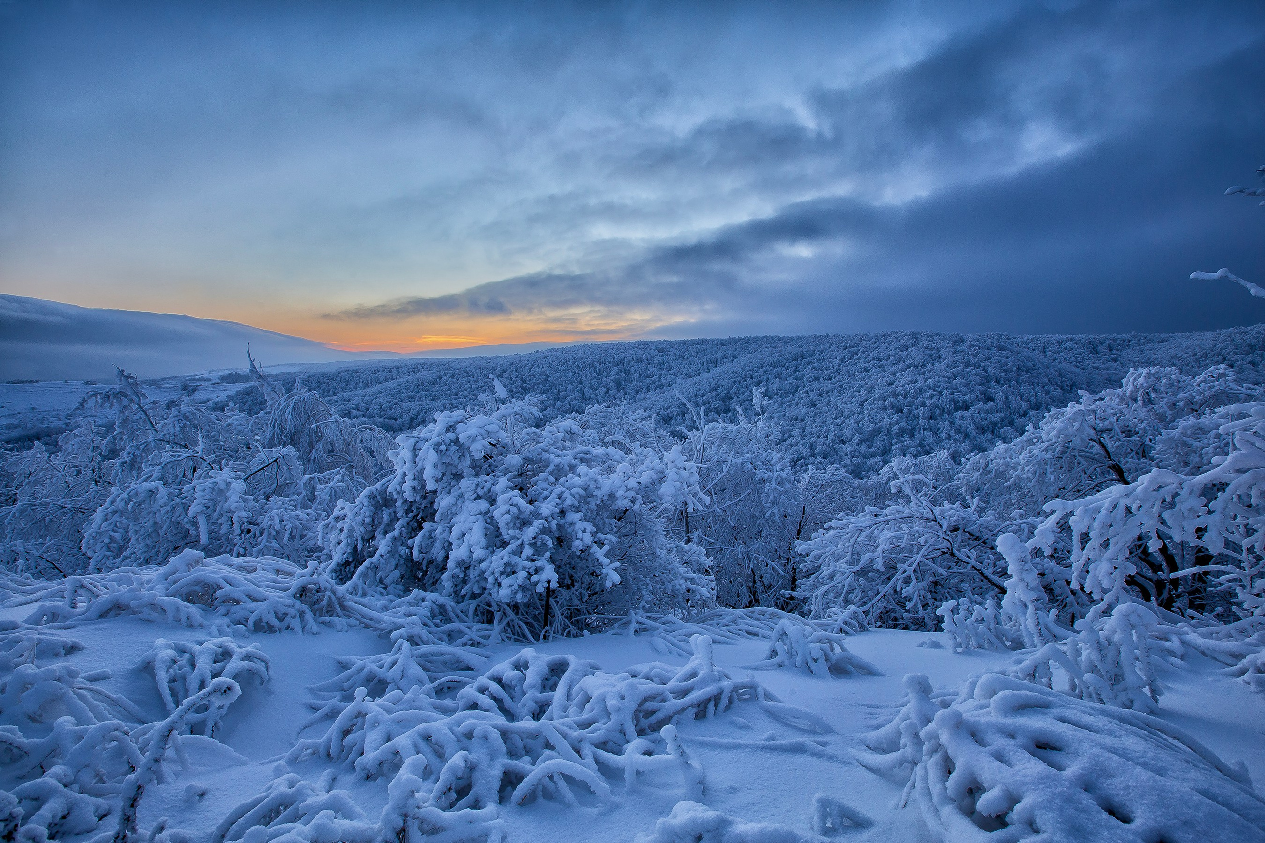 Макс По — фото и видео съемки любого формата