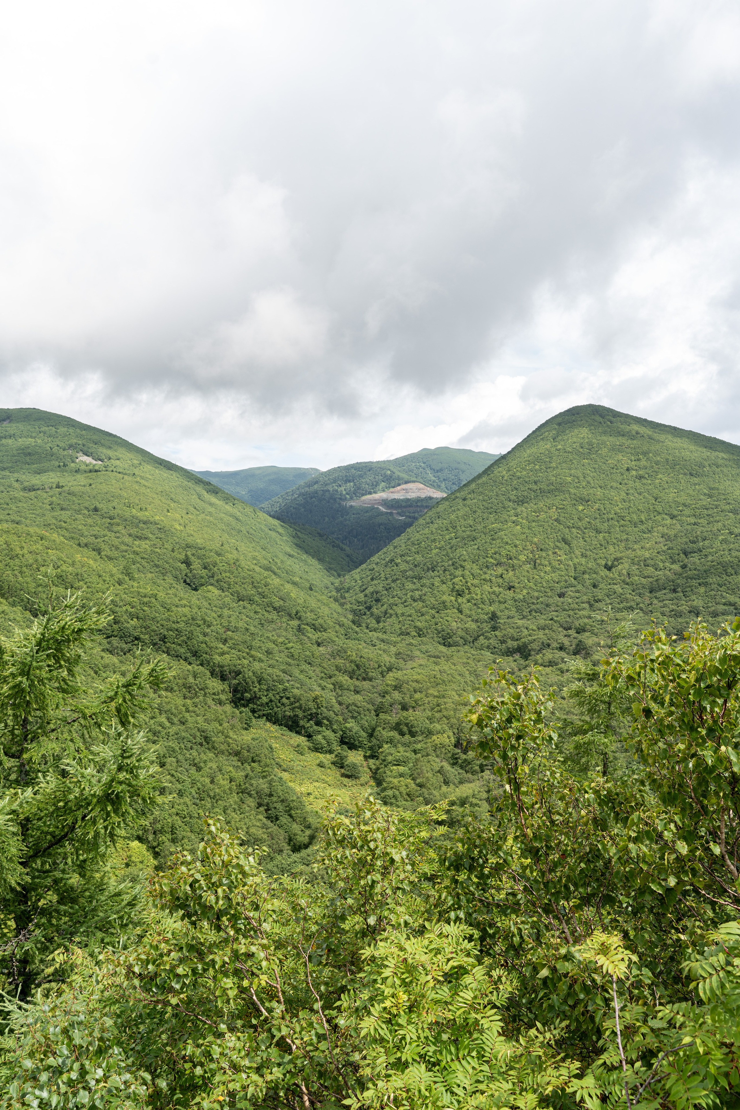 Сахалин 2025. Творческие сьемки