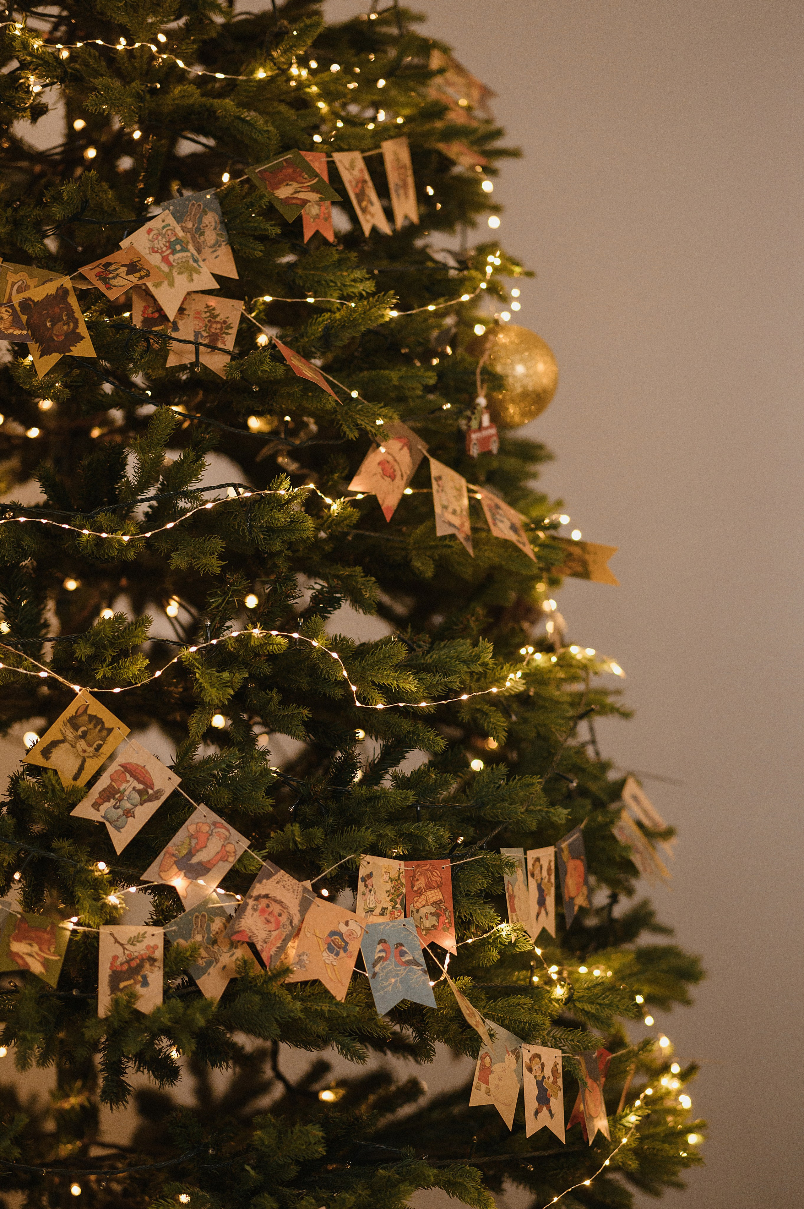 Славик, Ира, Артём и Марк. Свадебный фотограф и видеограф