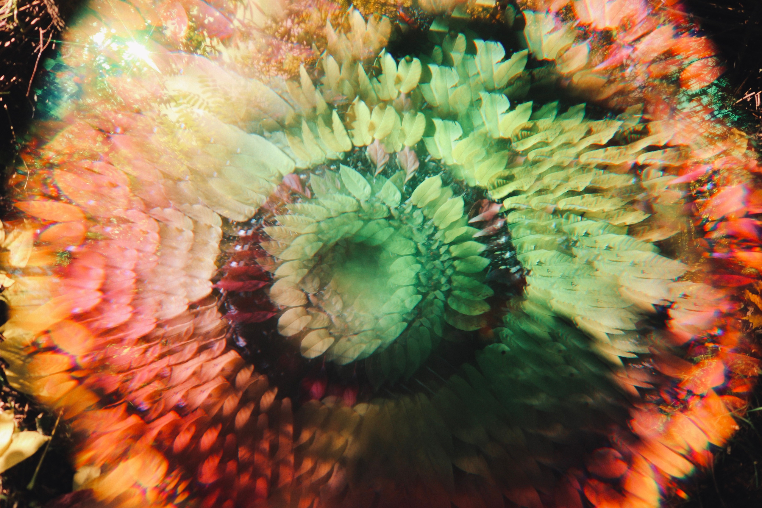В саду Соловьев. VITA · visual therapy arts