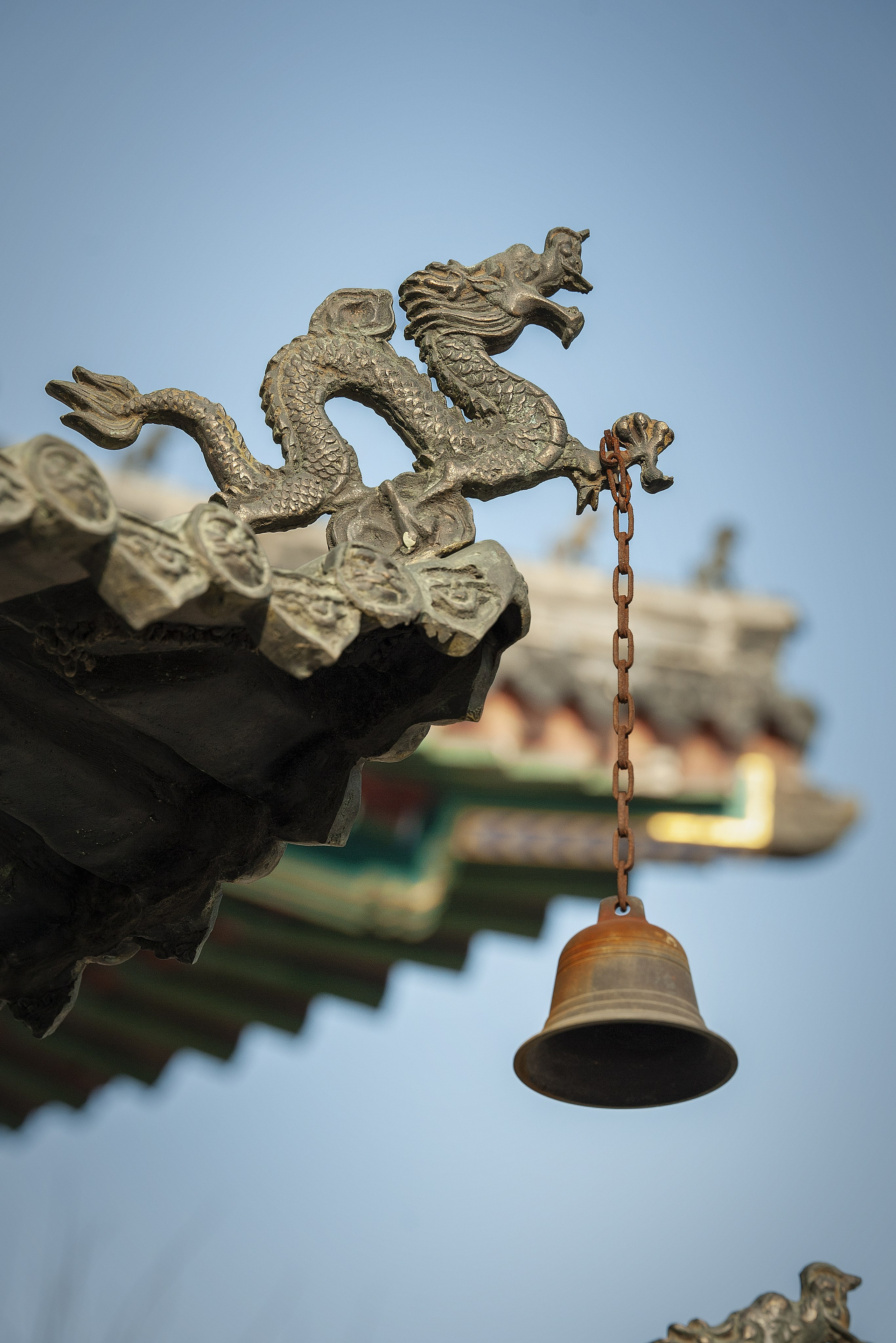 В китае есть пять разновидностей драконов. Тяньлун, Фуцанлун, Дилун, Инлун, Шэньлун 