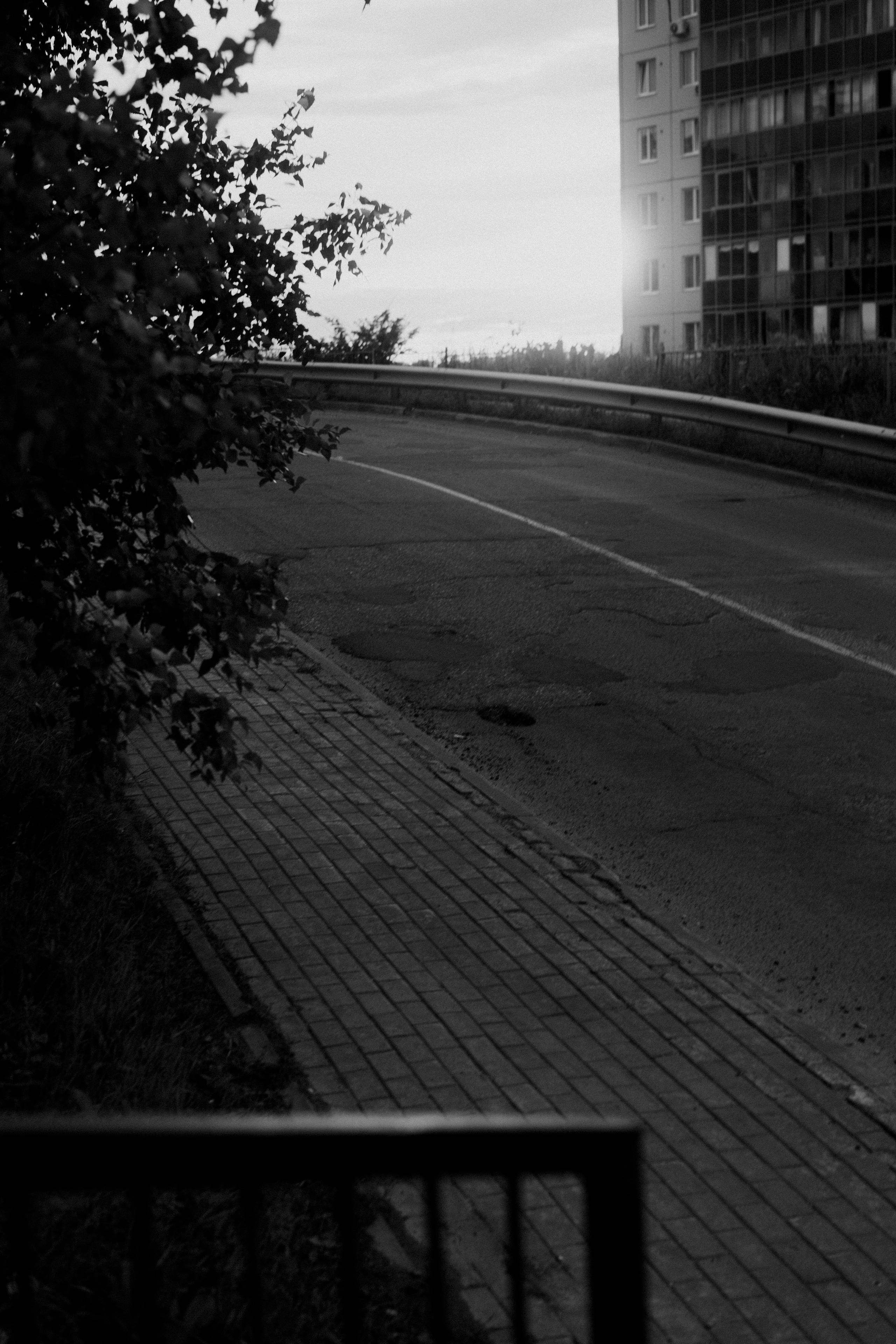 Зелёные горки. Veronika Popadeikina Photographer