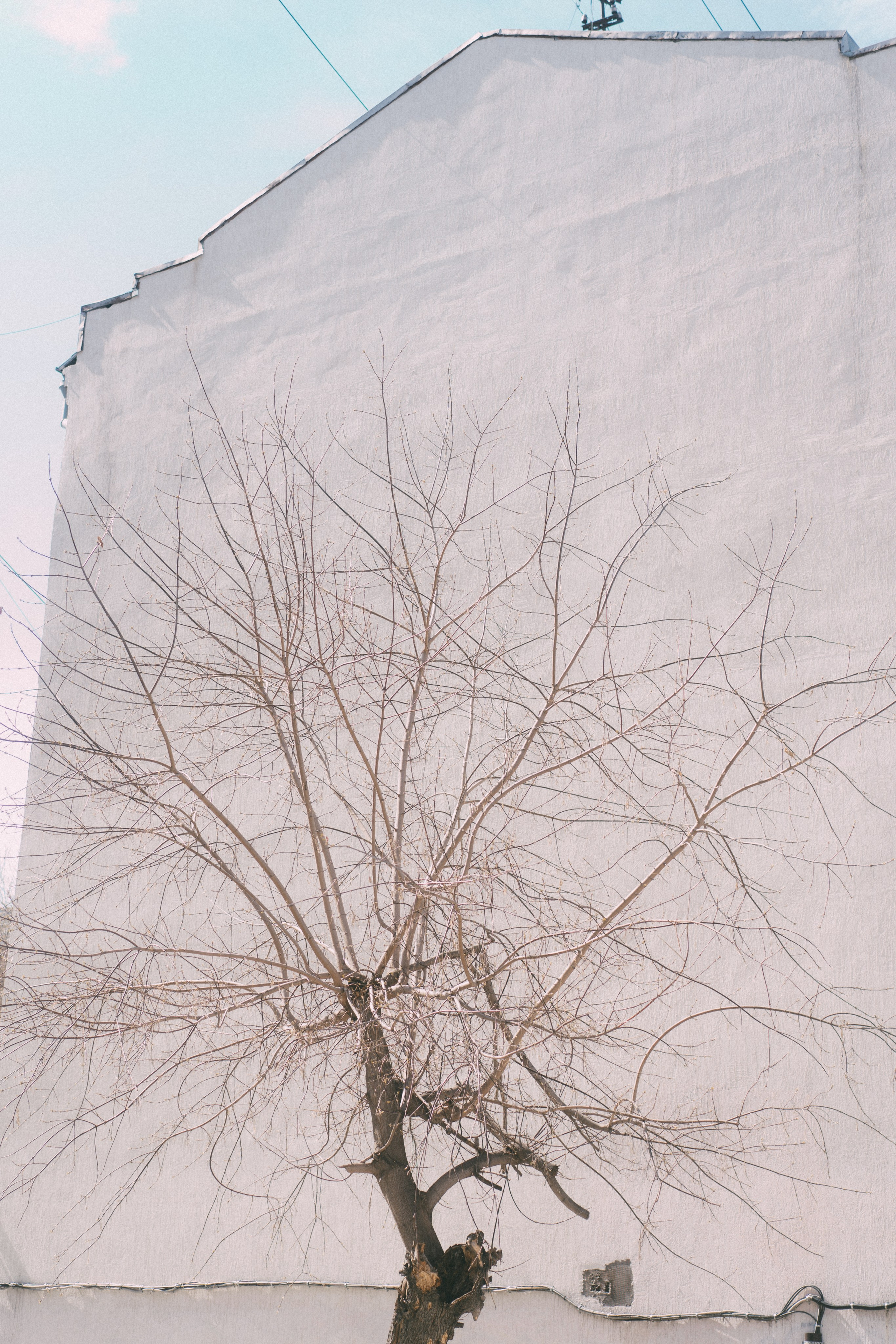 Новосибирск. Veronika Popadeikina Photographer