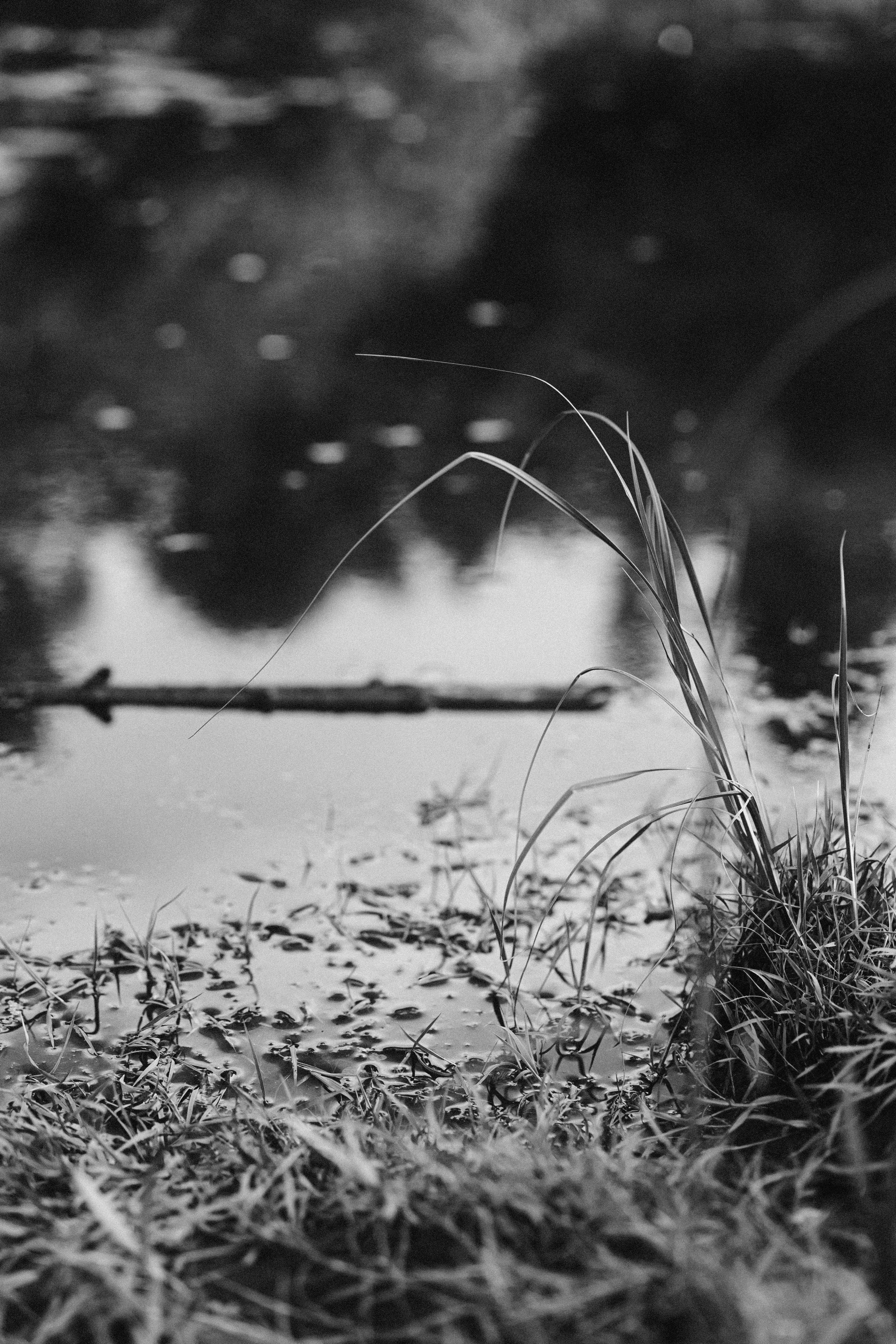 Деревня Петрово (Томская область). Veronika Popadeikina Photographer