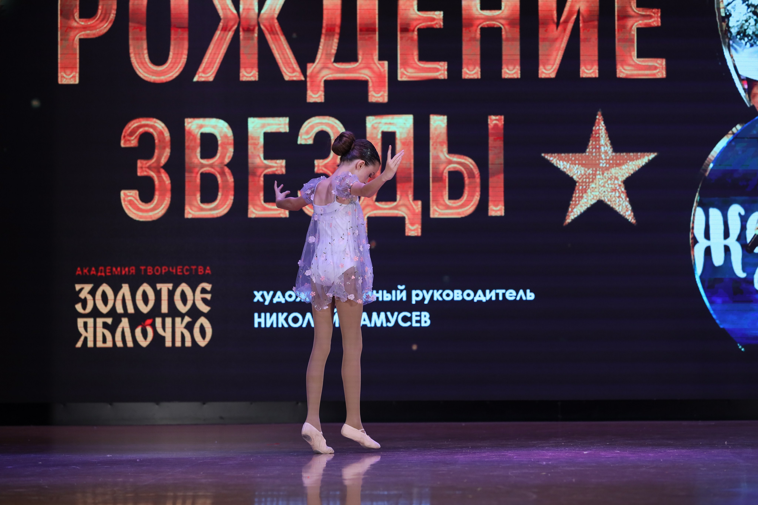 4 ноября, блок 1, видео, номера 59-, г. Краснодар. Золотое яблочко