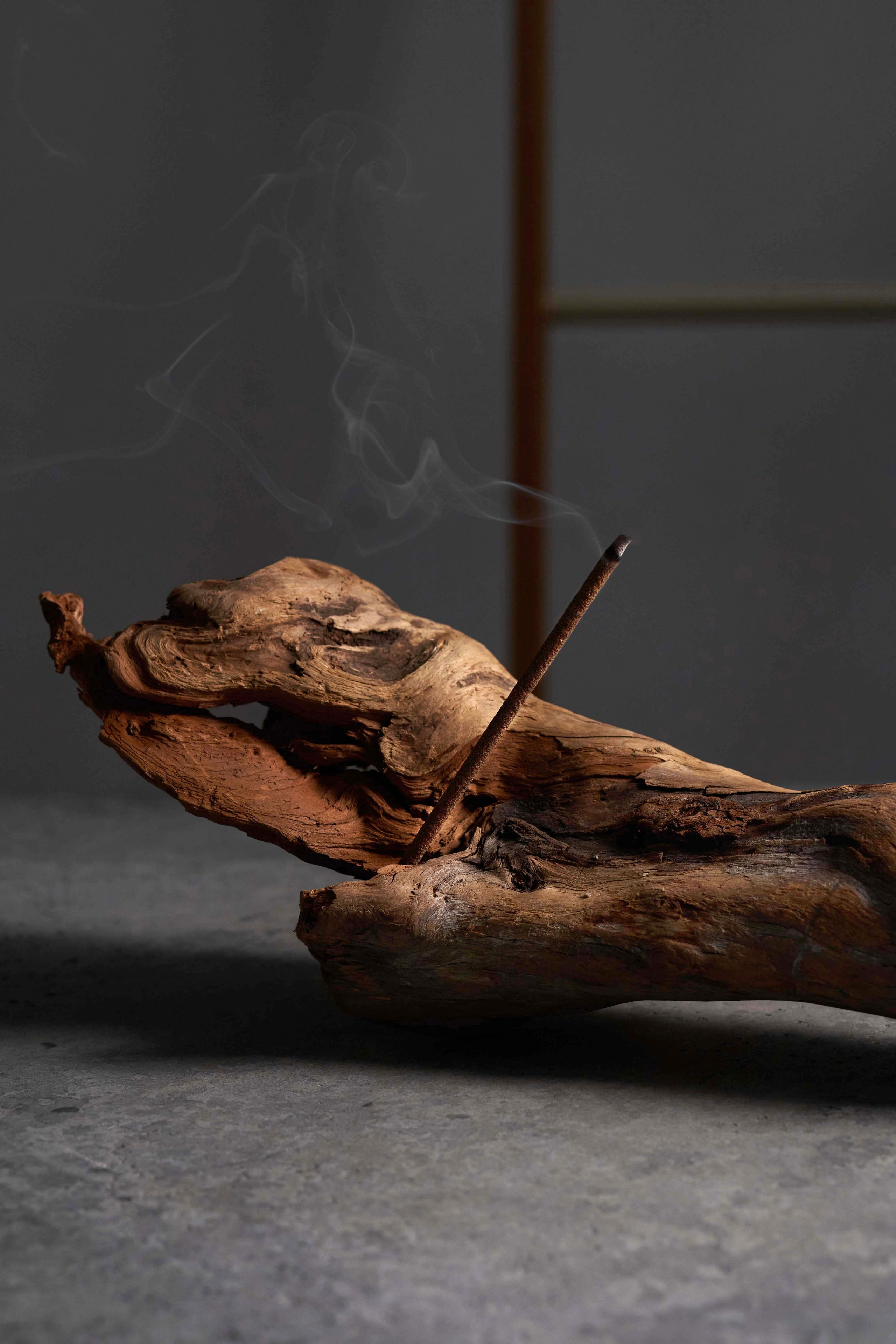 Dindi aroma. Фотограф Улан-Удэ