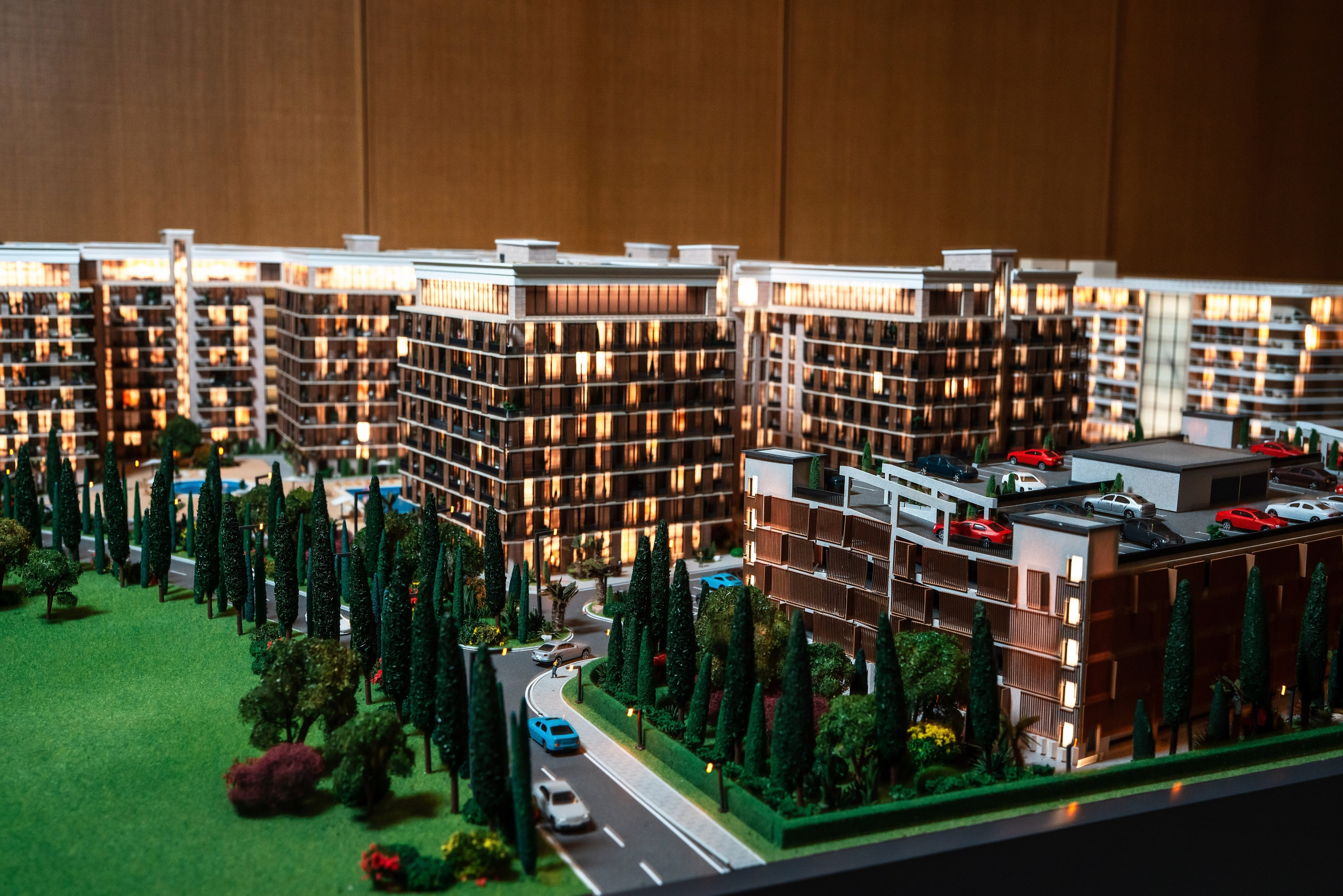 ССК. Фотограф Сочи