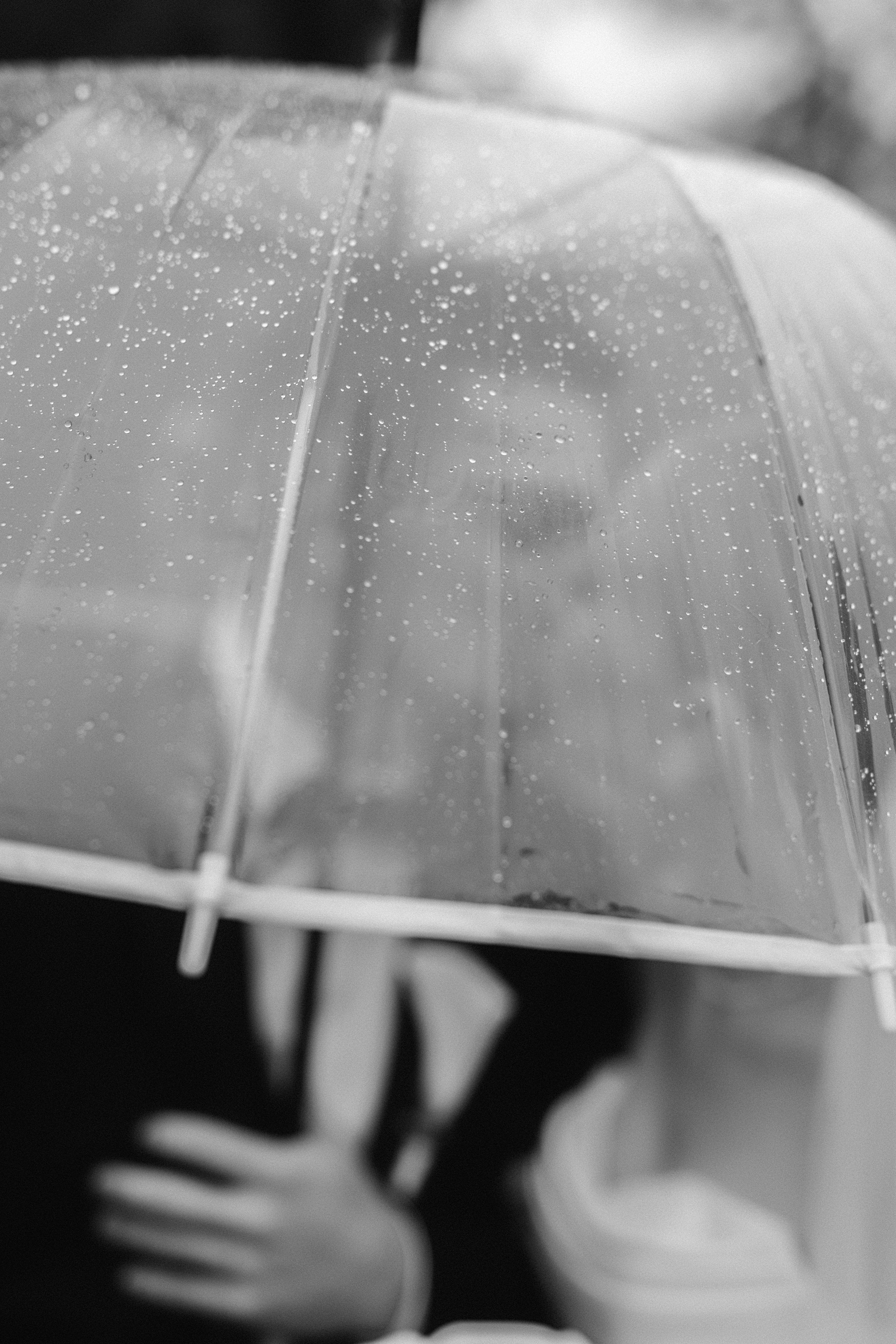 Дождь на счастье. Свадебный фотограф в Краснодаре Булатова Наталия