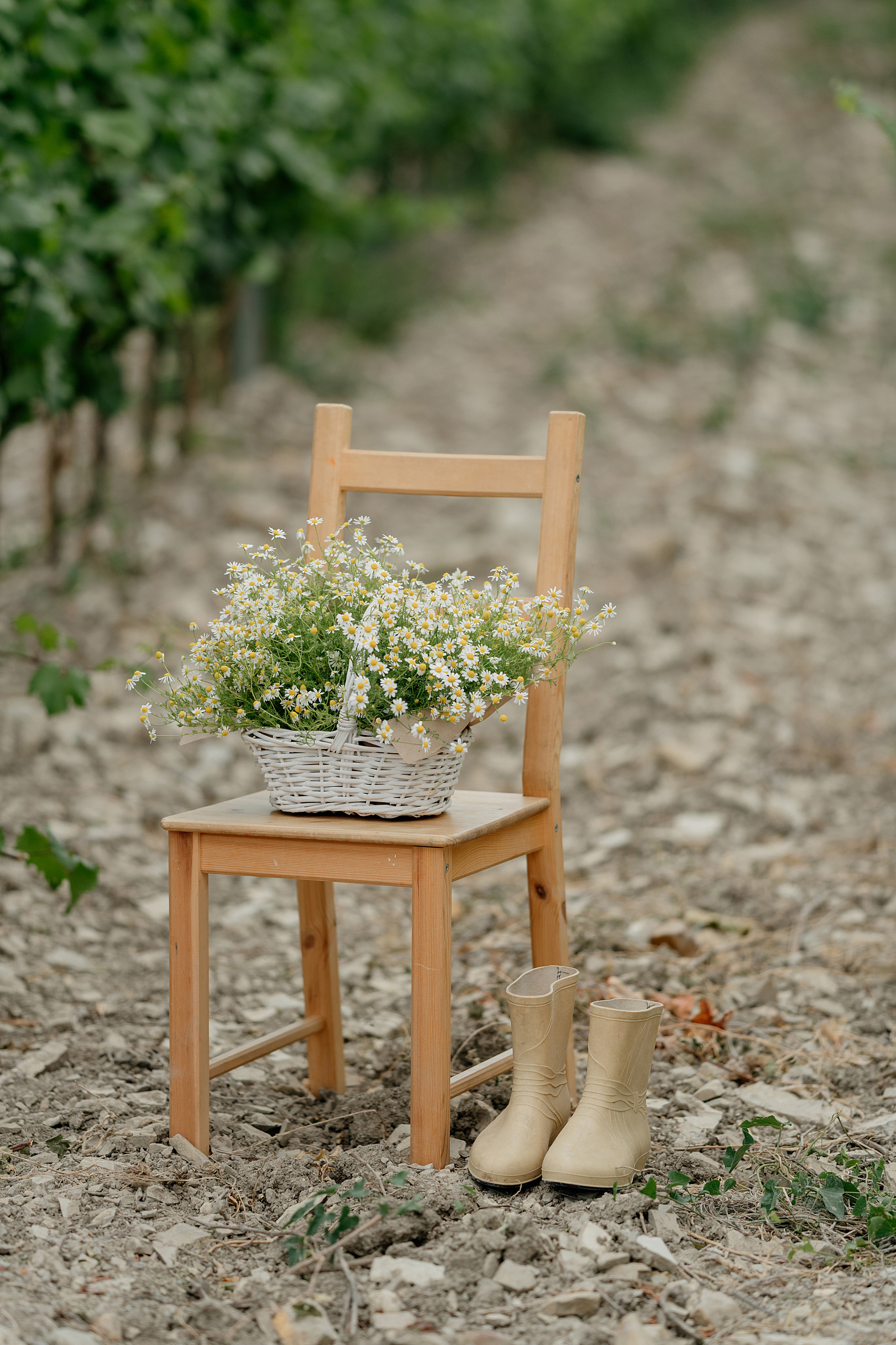 Беременность Даши в виноградниках. Свадебный фотограф Новороссийск Марина КрамарИна Полещук