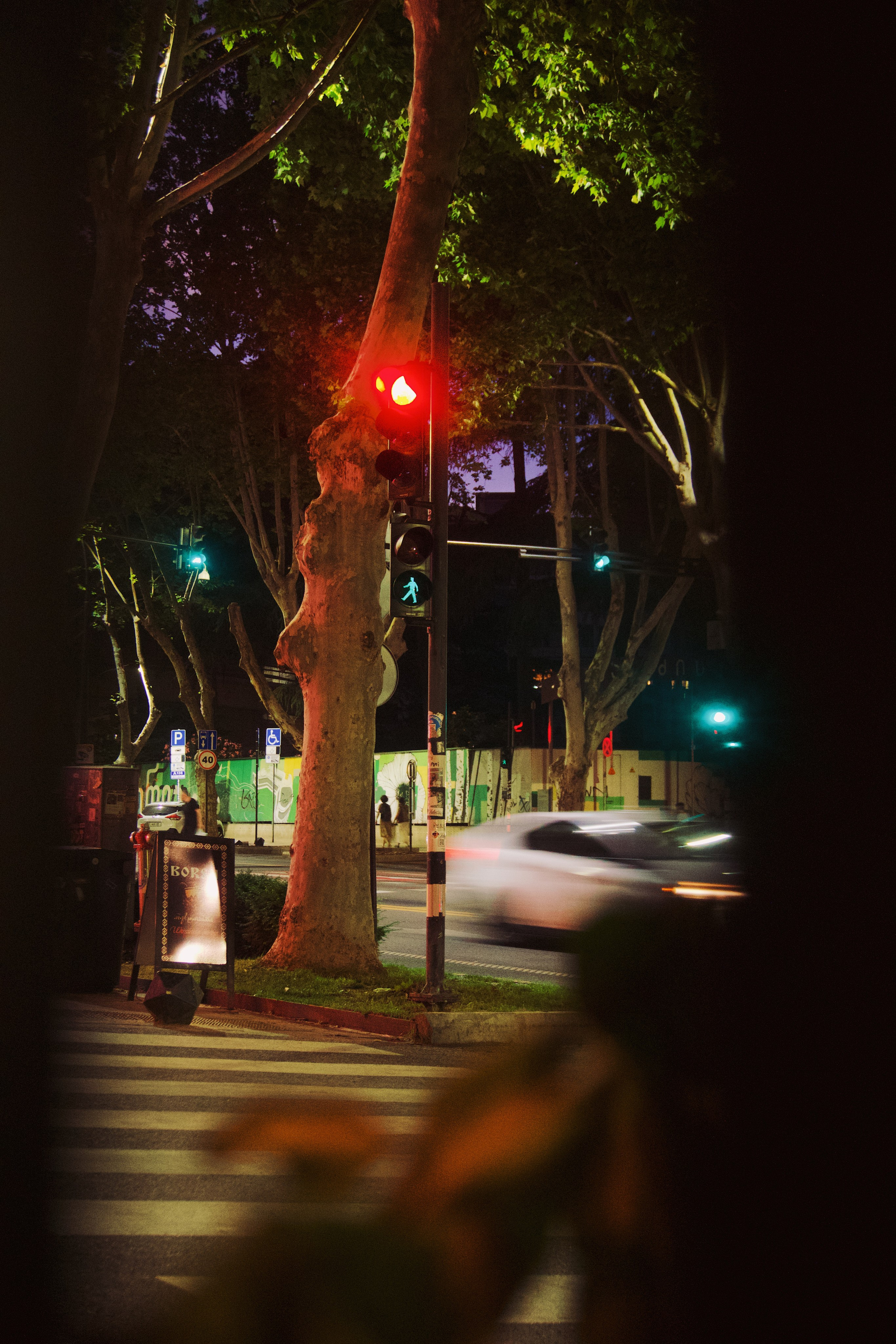 Тбилиси. Татьян гертье