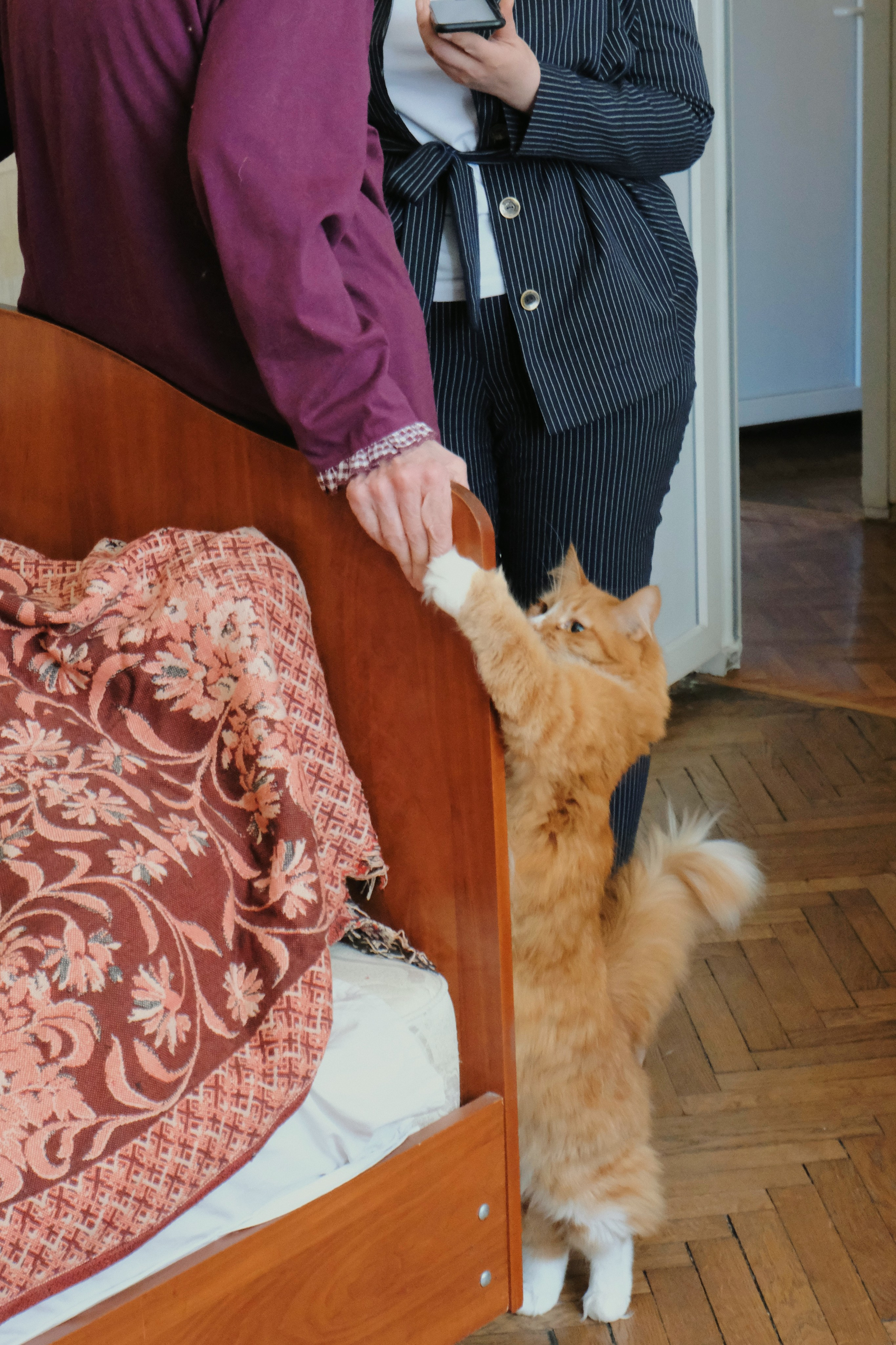 Проект «улыбка радости». Татьян гертье