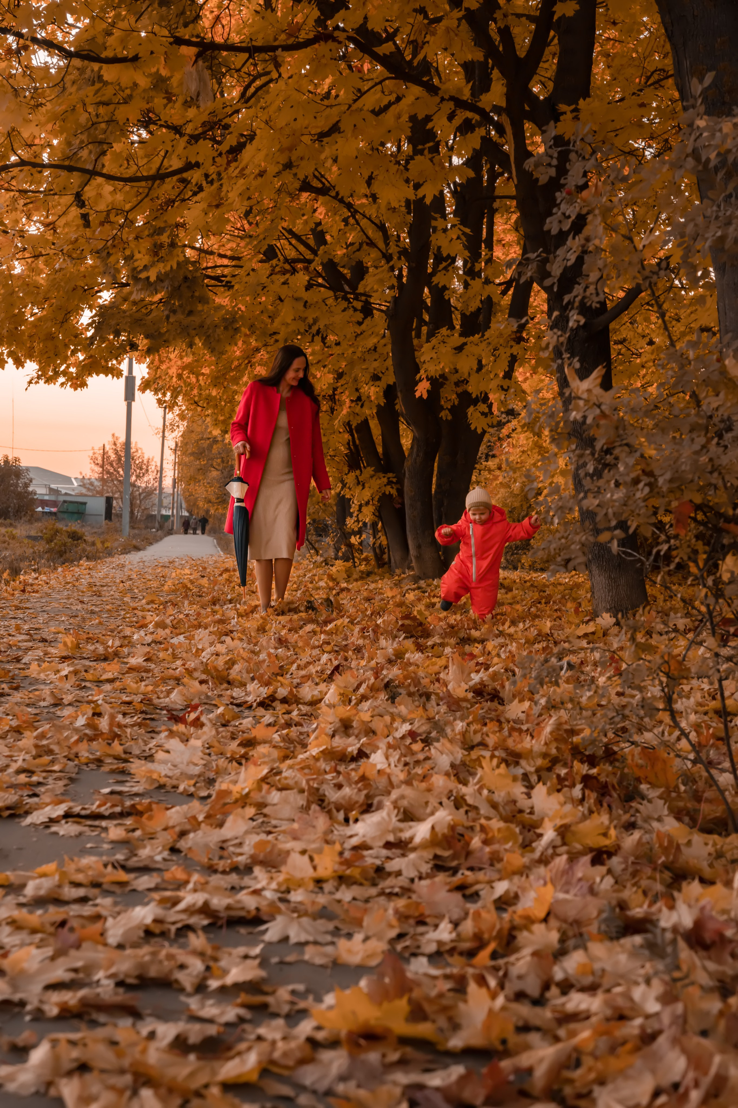 Осенняя прогулка. Семейный и детский фотограф Тула Ясногорск Тульская область Надежда Кукушкина