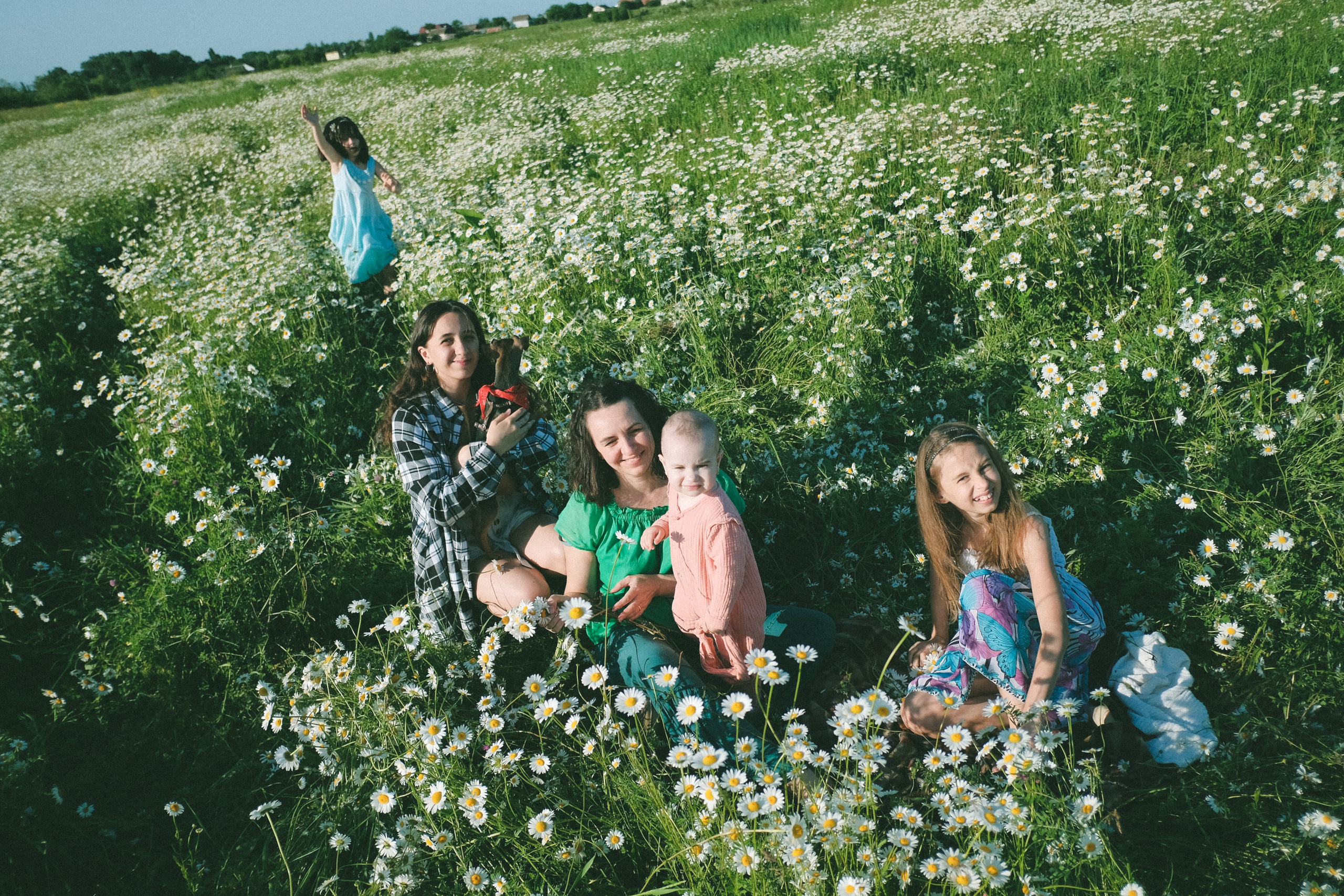 Ждановы в ромашках. Женский и семейный фотограф в Краснодаре и крае Таня Мустафина