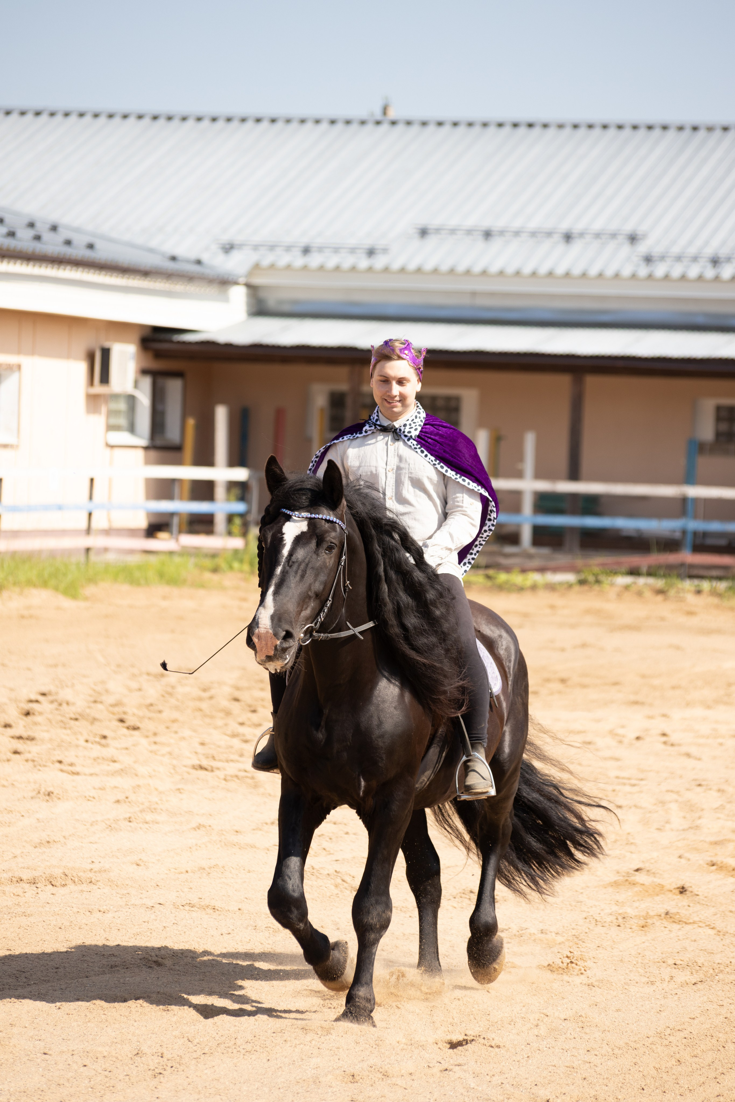 Конюшня. Фотограф в Москве и Истре