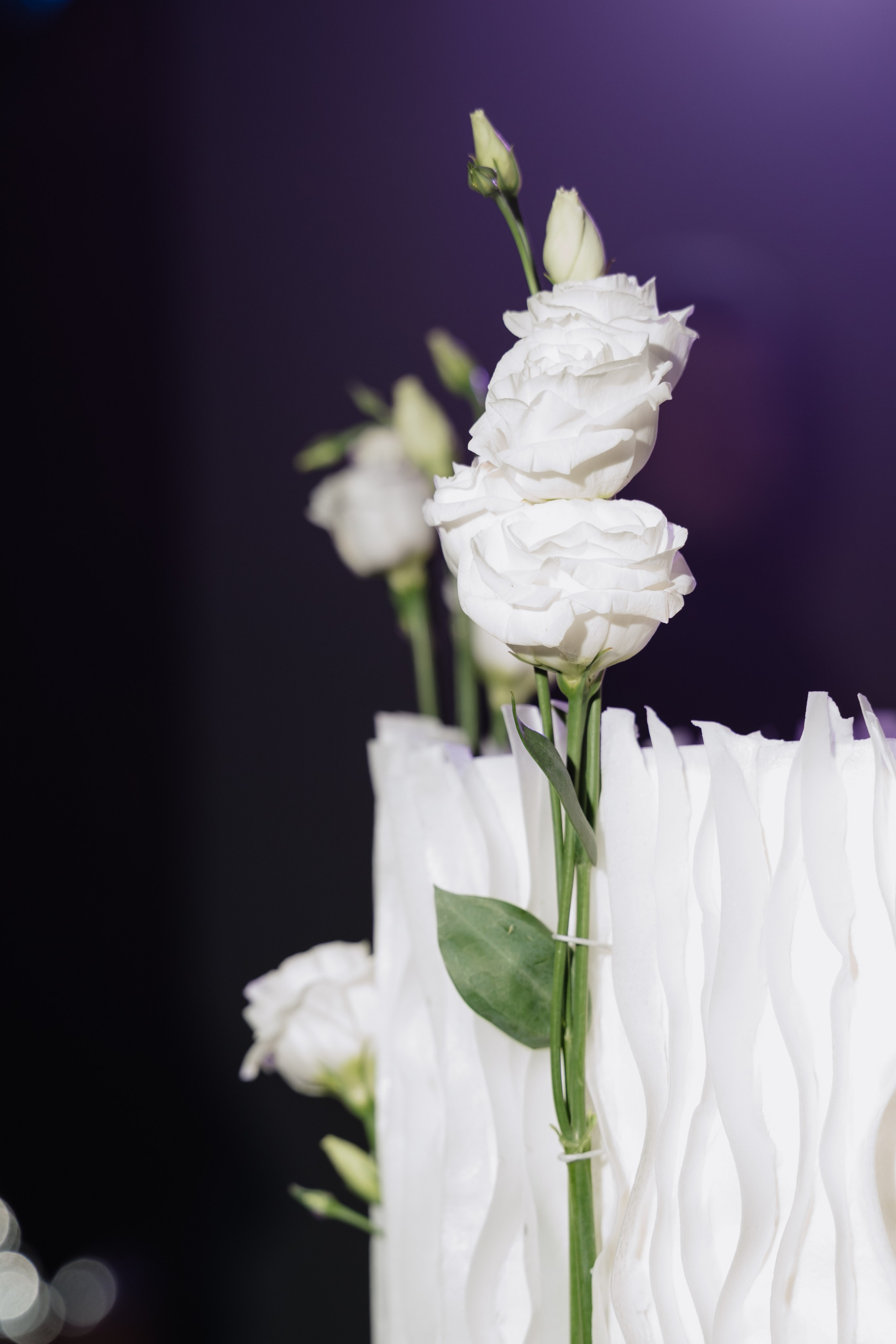 Полина и Павел. Фотограф Екатерина Горковенко, Абакан