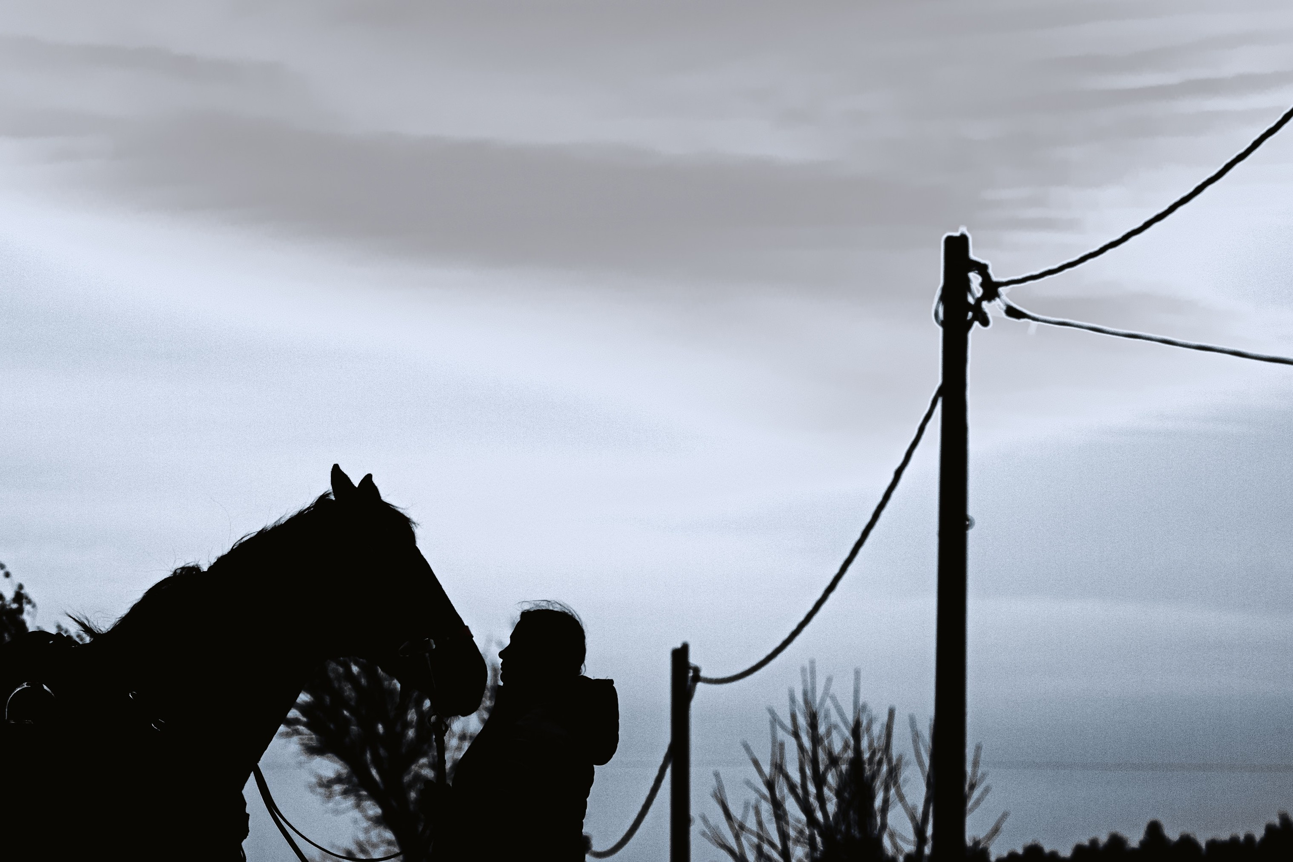 Лена и Рэджи. Фотограф-анималист Татьяна Степанова