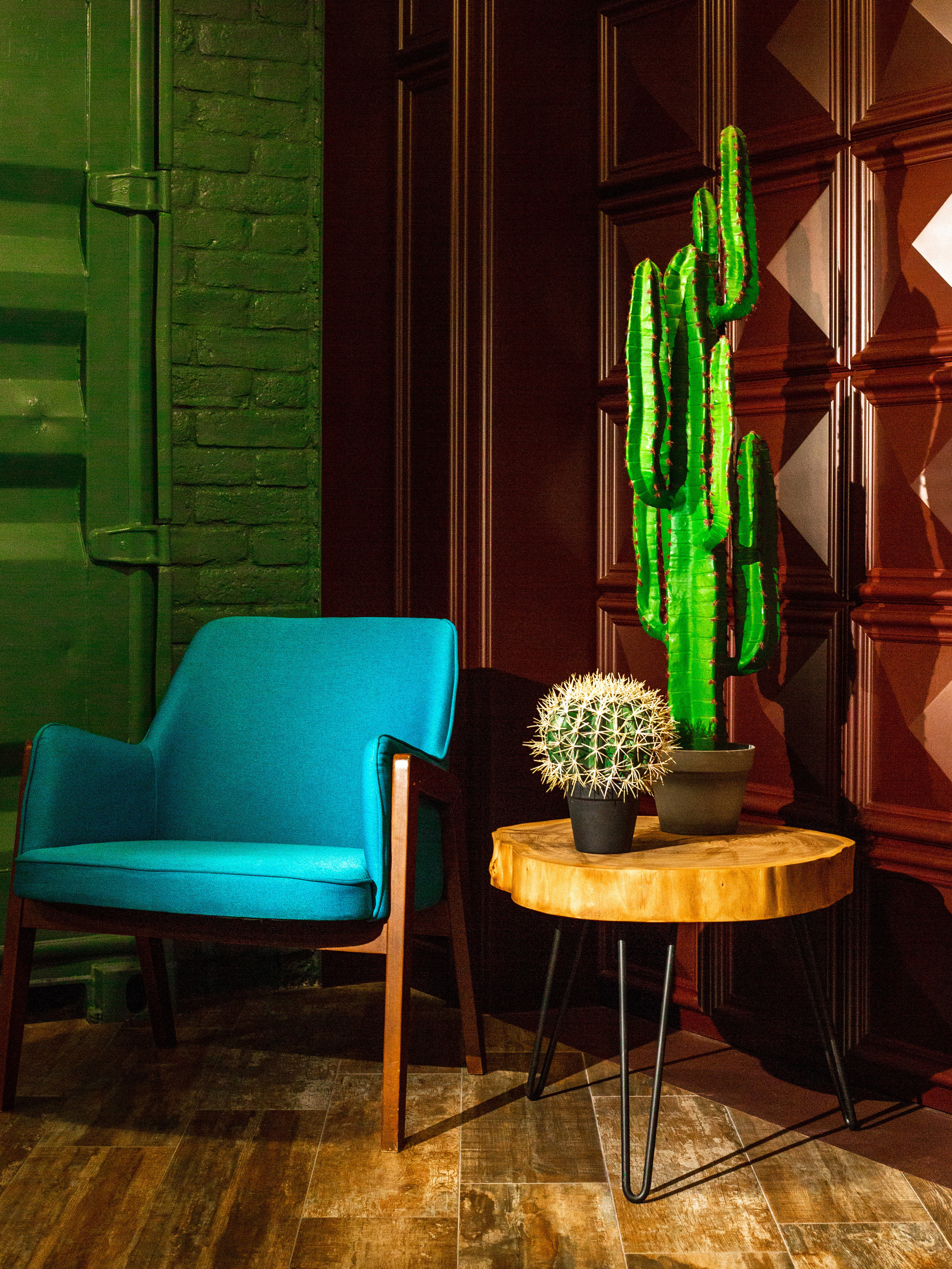 Растения. Фотограф Борисова Ирина| Краснодар |Стамбул