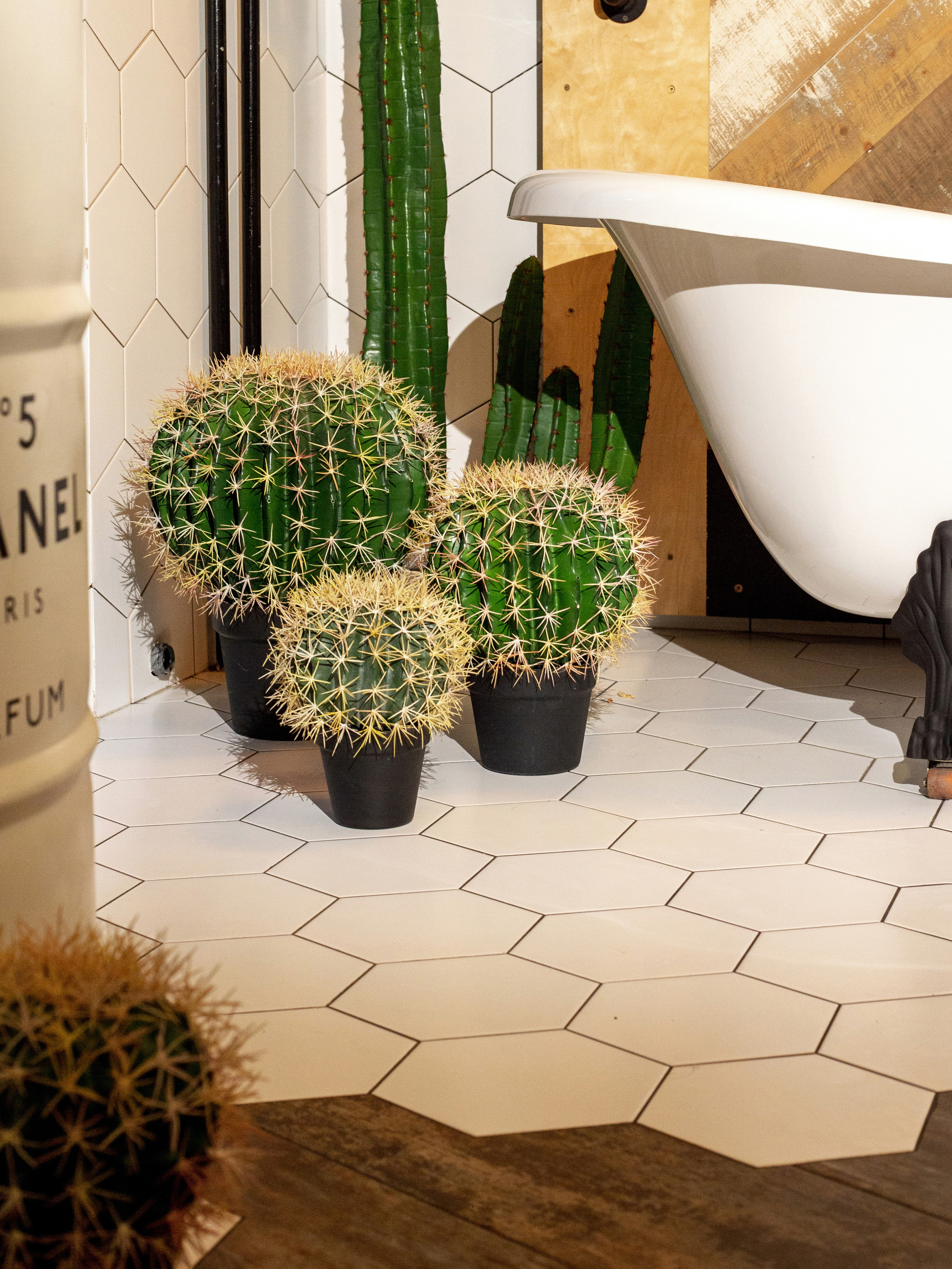 Растения. Фотограф Борисова Ирина| Краснодар |Стамбул