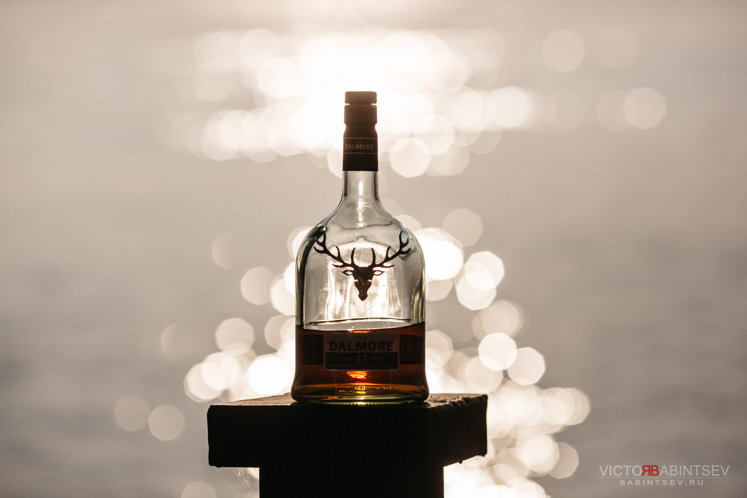 Whisky. Семейный и репортажной фотограф в Красноярске и Москве Виктор Бабинцев