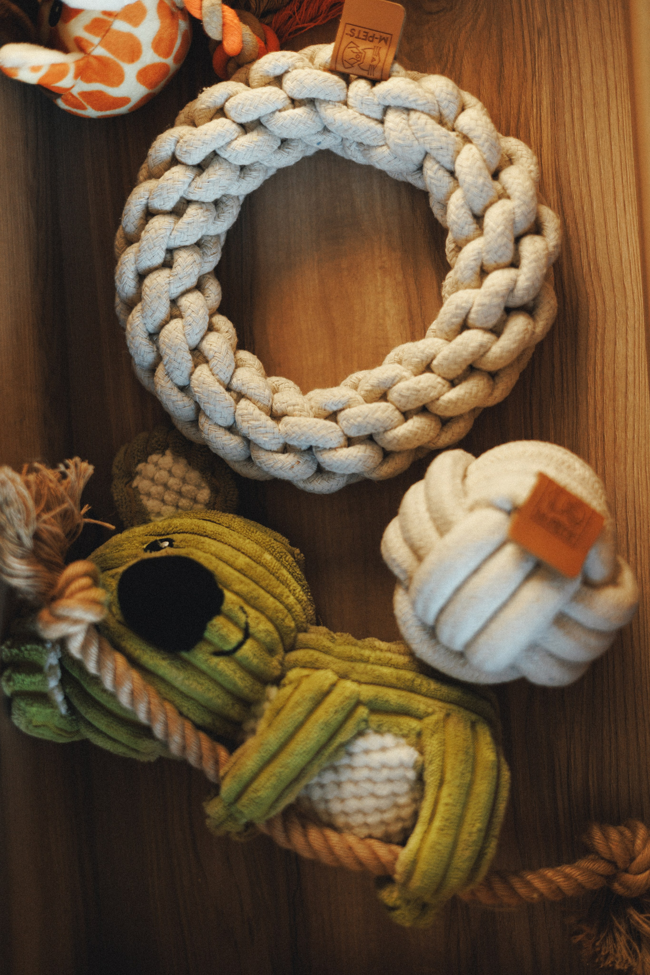 M-Pets. Фотограф анималист Осипчикова Мария