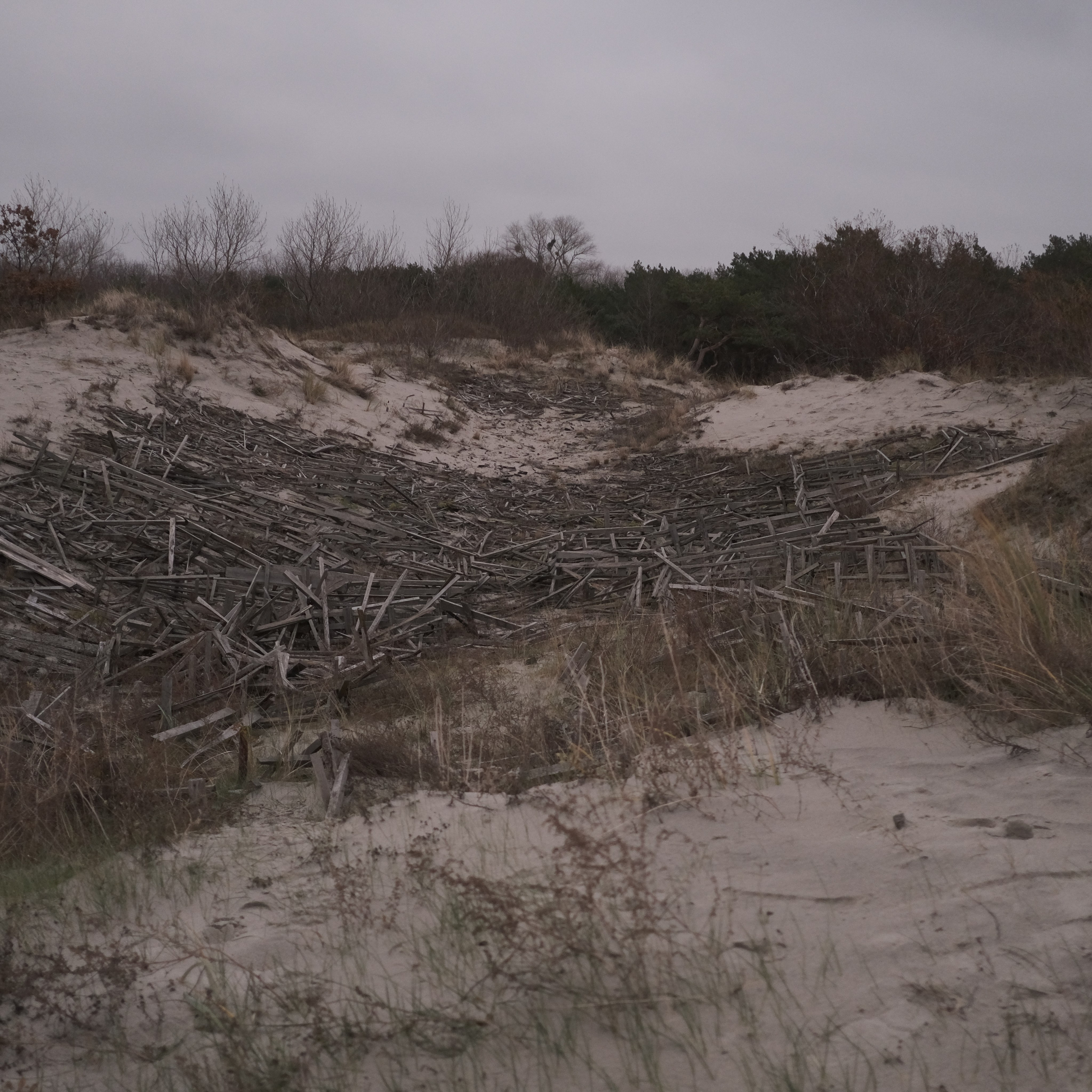 Калининград. LIYALEE PHOTO