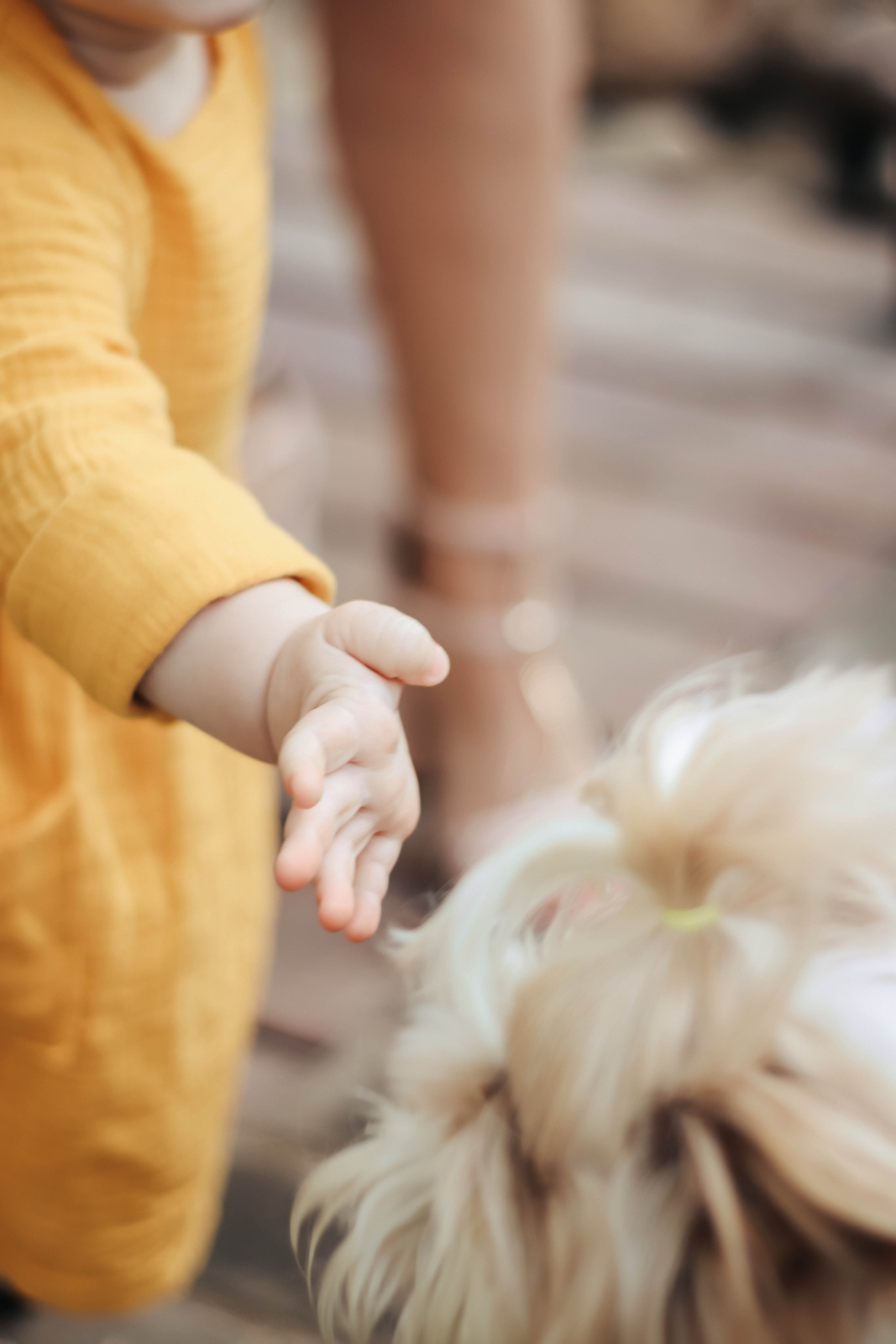 Годовасие!. Фотограф Дарья Маташкова