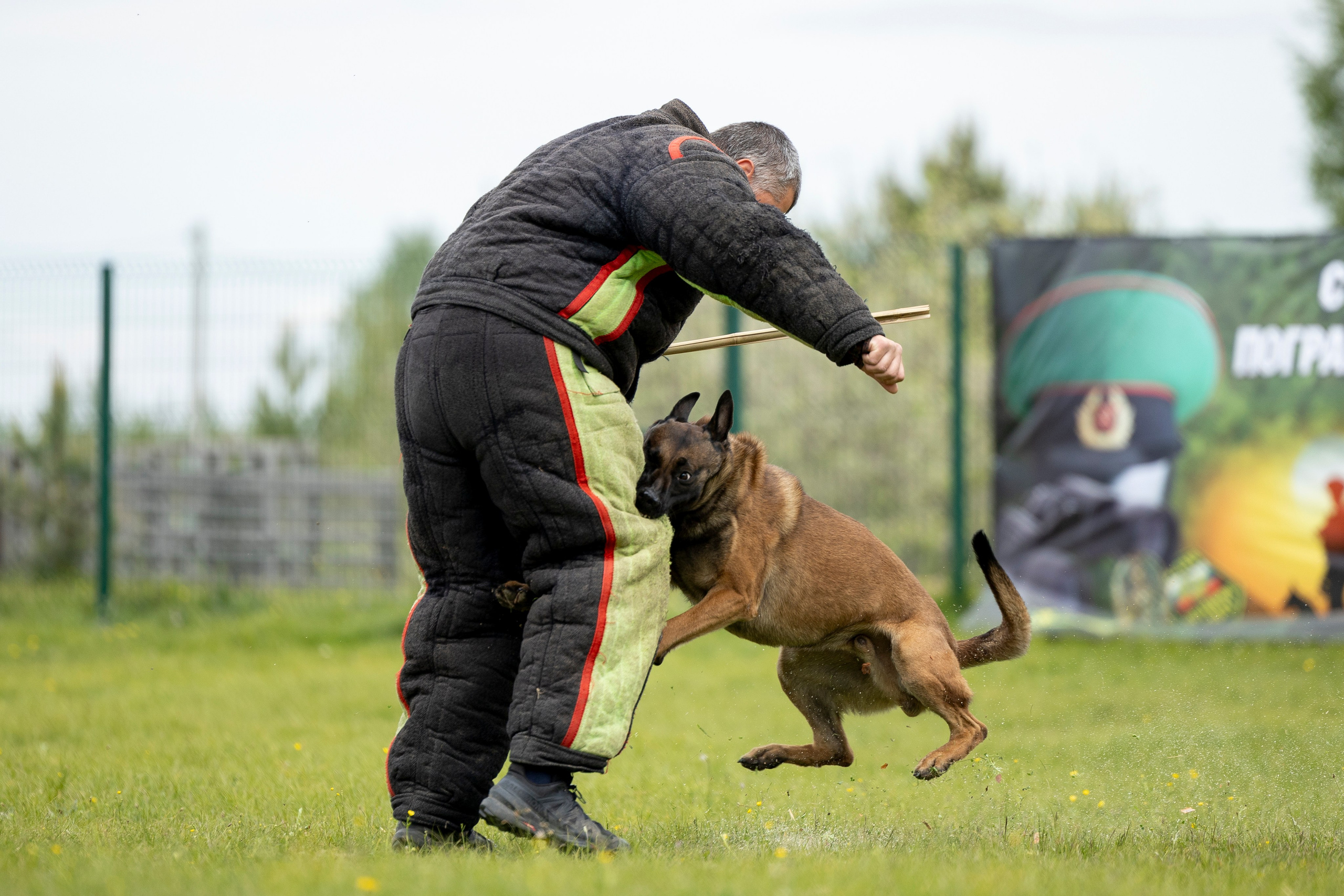 Испытания по мондьорингу в Нижнем Новгороде. Фотограф-анималист Анна Маринич
