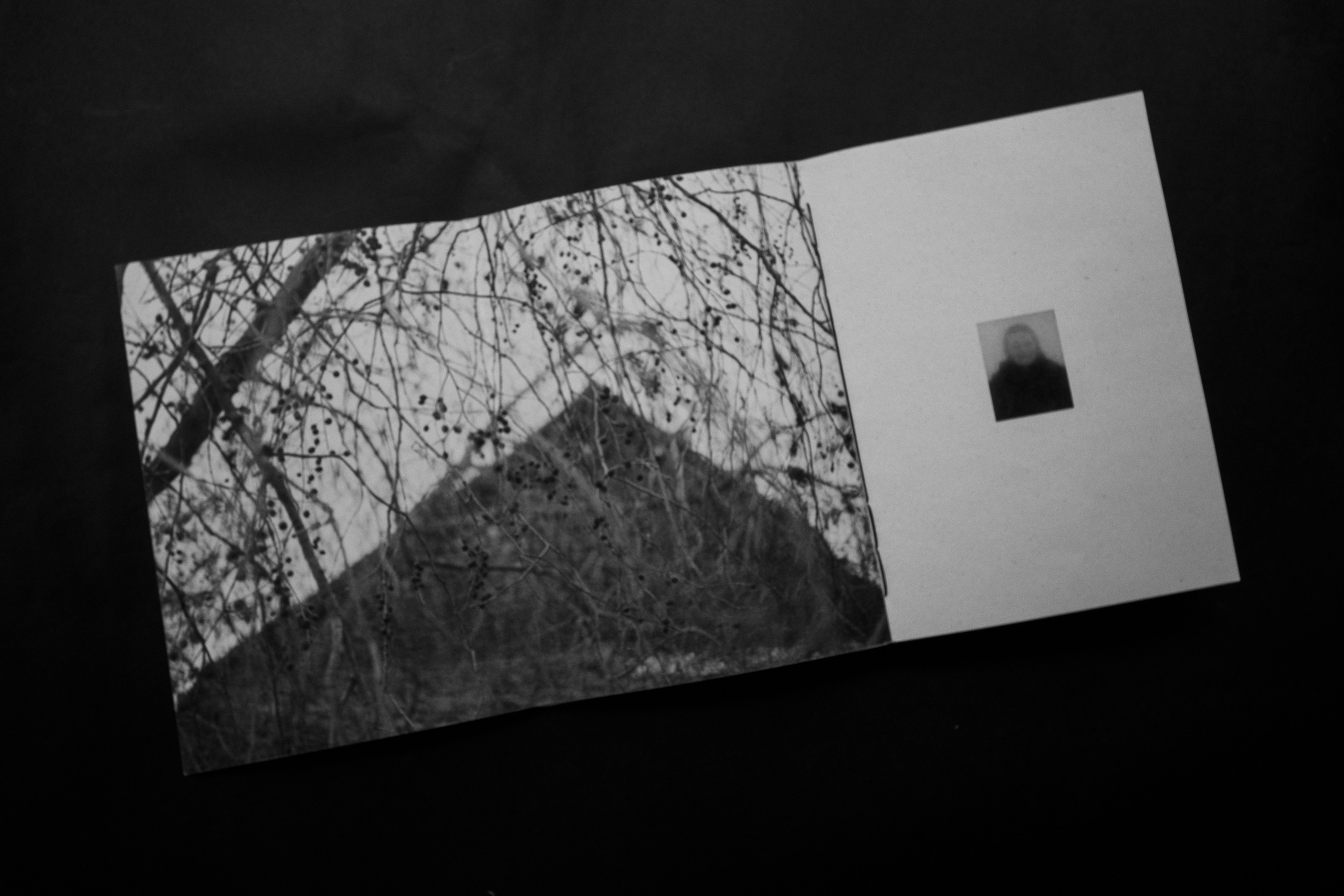 Эхо черемухи. Главная