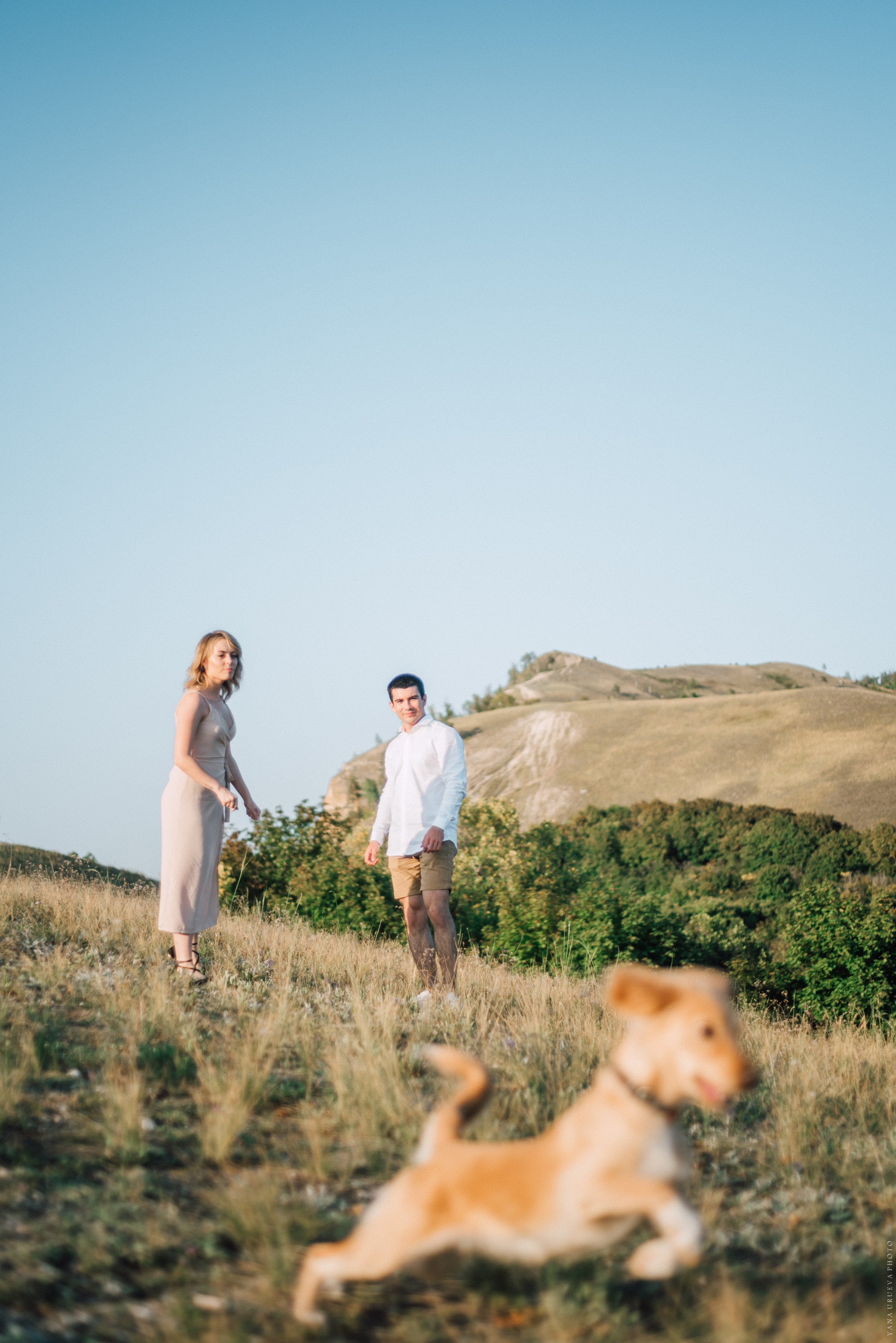 лавстори пары на природе , собака бежит