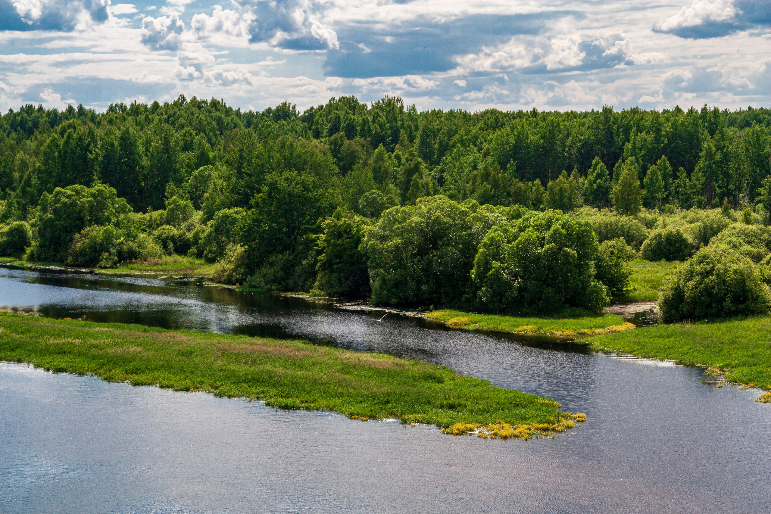Пейзаж. Фотограф Люся Воробьева