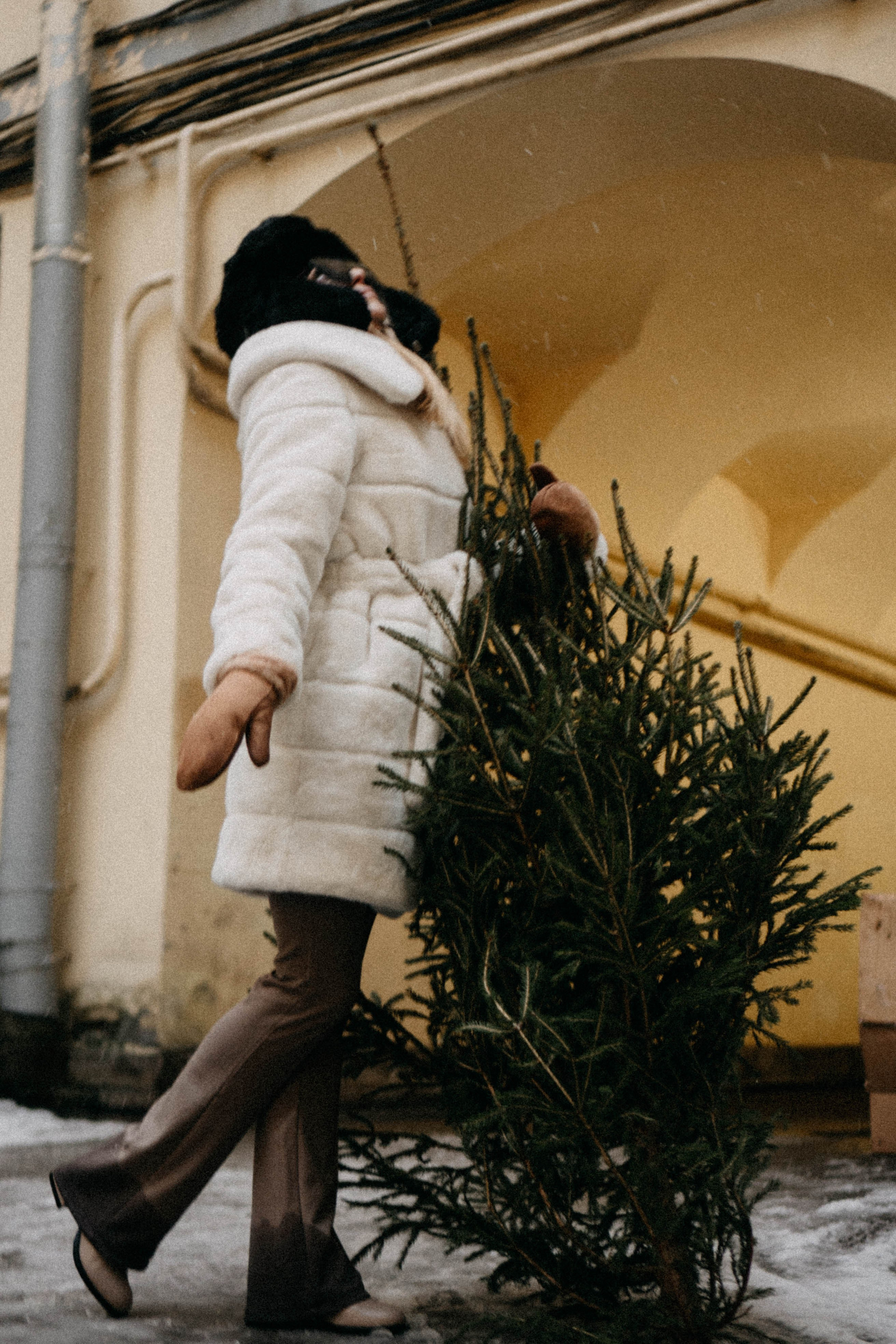Новогодняя. Профессиональный фотограф, Санкт-Петербург — Виктория Богомолова