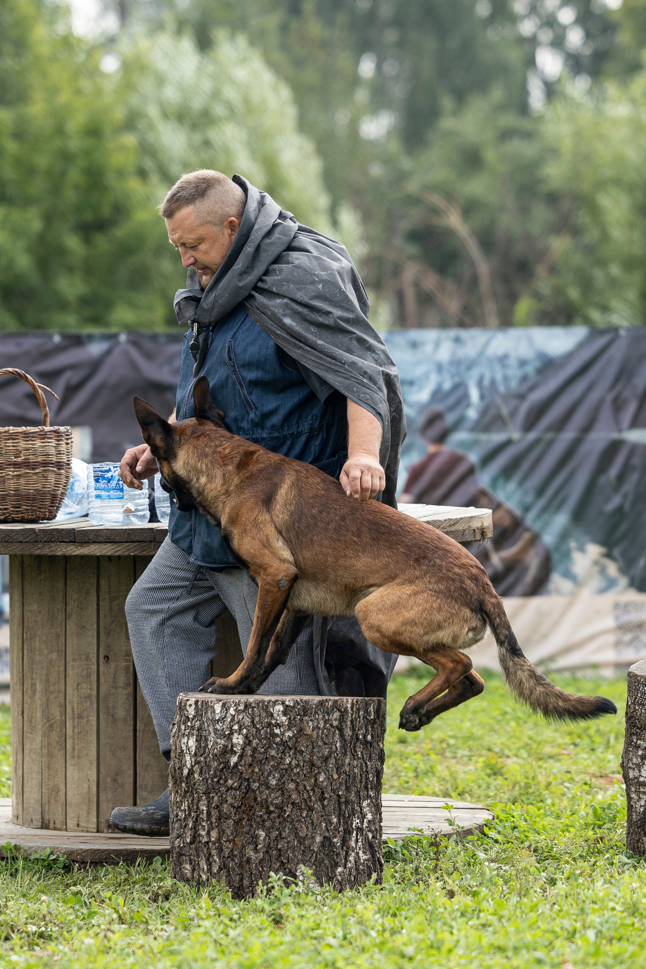 Соревнования по Мондьорингу г. Вологда 10-11.08.2024. Фотограф-анималист Анна Маринич