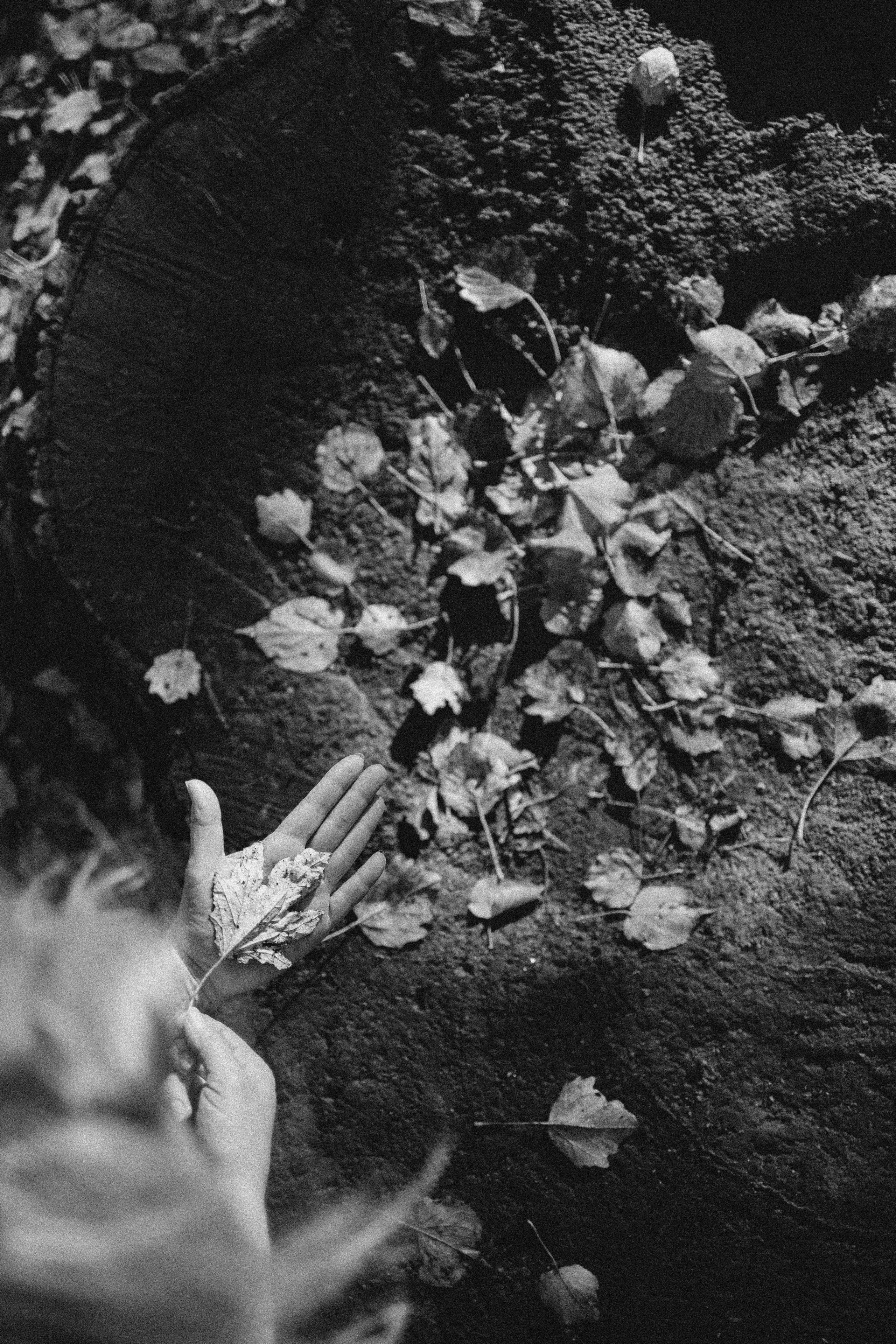 В преддверии. . . История Марины. Виноградова Маргарита. Фотограф P r o Явления