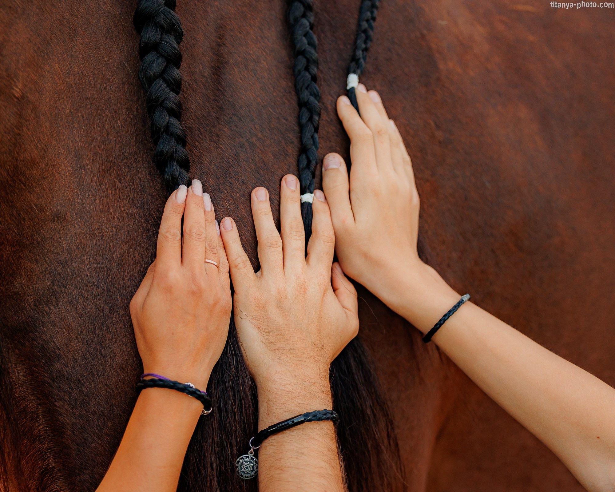 Закатная семейная фотосессия: про Настю и её дружную семью. Фотограф собак, фотограф-анималист Аня Титова (Titanya). Москва