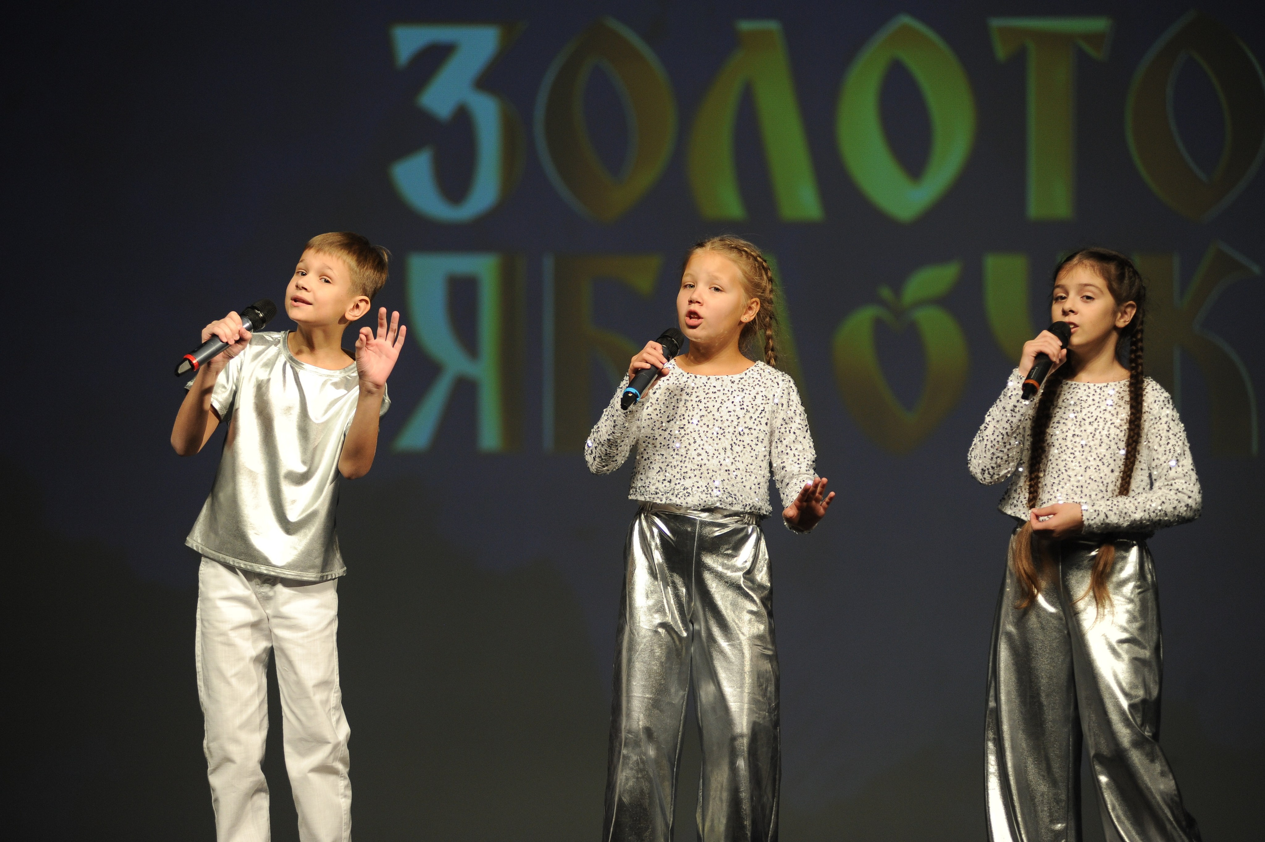 16 ноября, г. Красноярск. Золотое яблочко