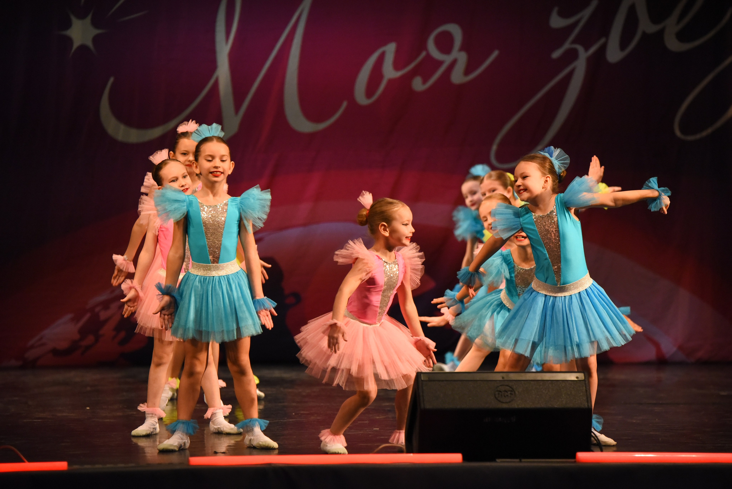 13 декабря, г. Калининград. Золотое яблочко