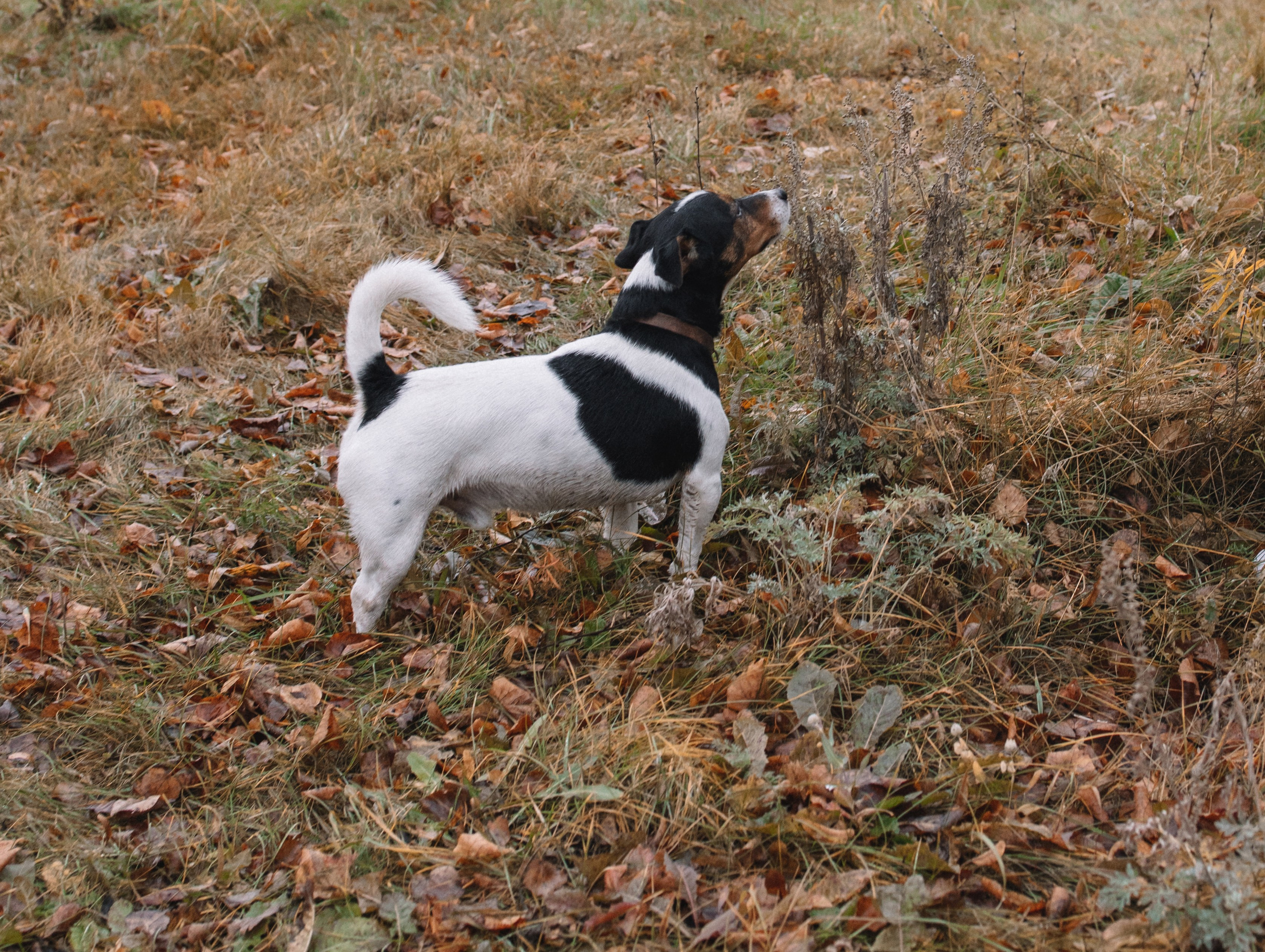 Таня успешно совмещает роль создателя эстетичных украшений, жены и мамы сыночка. Фотограф беременности и новорождённых в Набережных Челнах